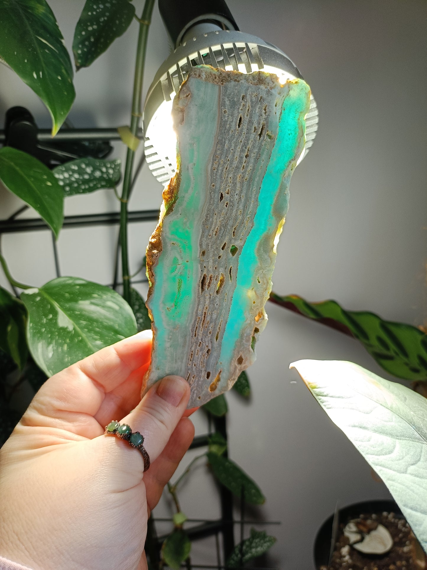 Blue Aragonite Slab - 227g