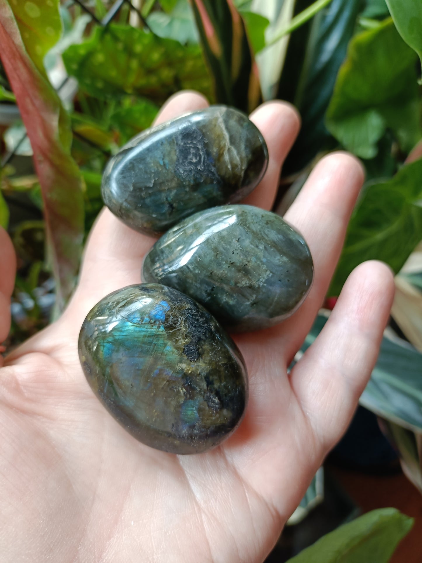 Labradorite Tumble Stone - 30-60g