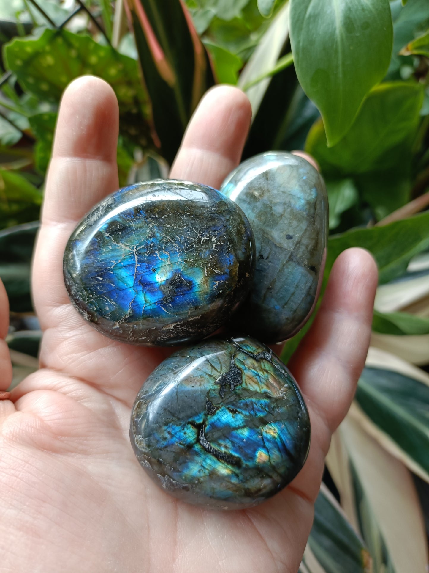 Labradorite Large Tumble Stone - 70-90g