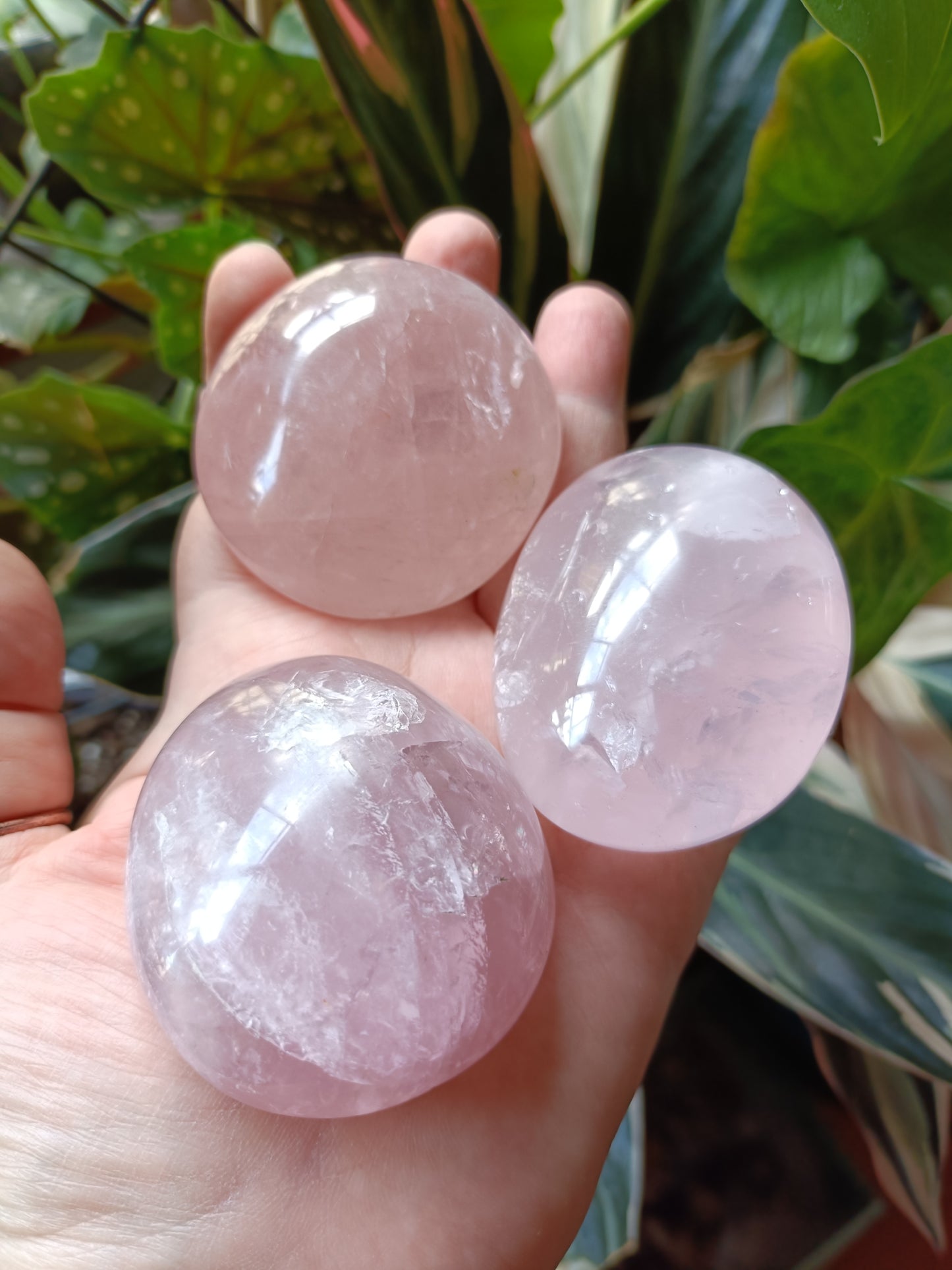 Rose Quartz Large Palm Stone - 110-140g