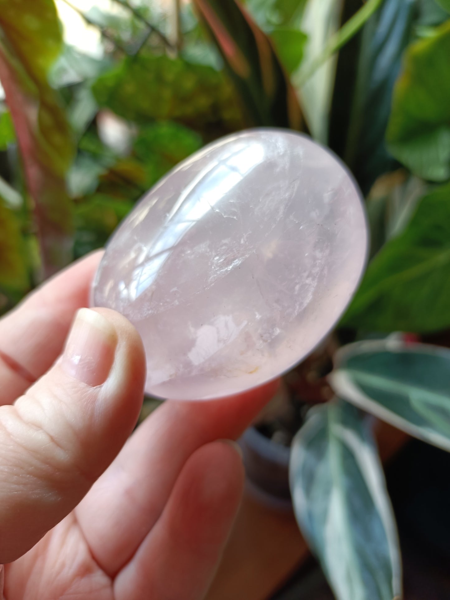 Rose Quartz Large Palm Stone - 110-140g