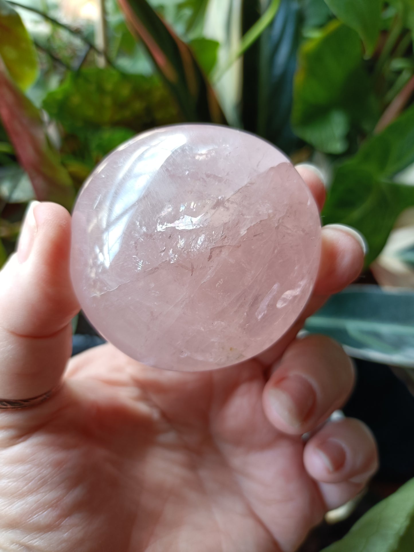 Rose Quartz Large Palm Stone - 110-140g