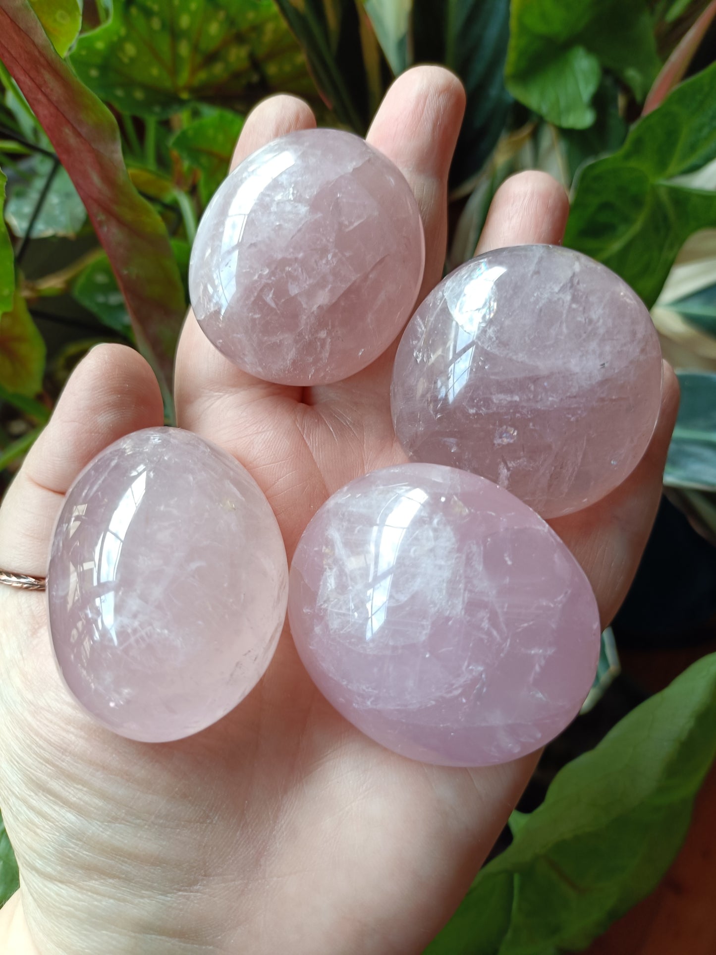 Rose Quartz Medium Palm Stone - 70-110g