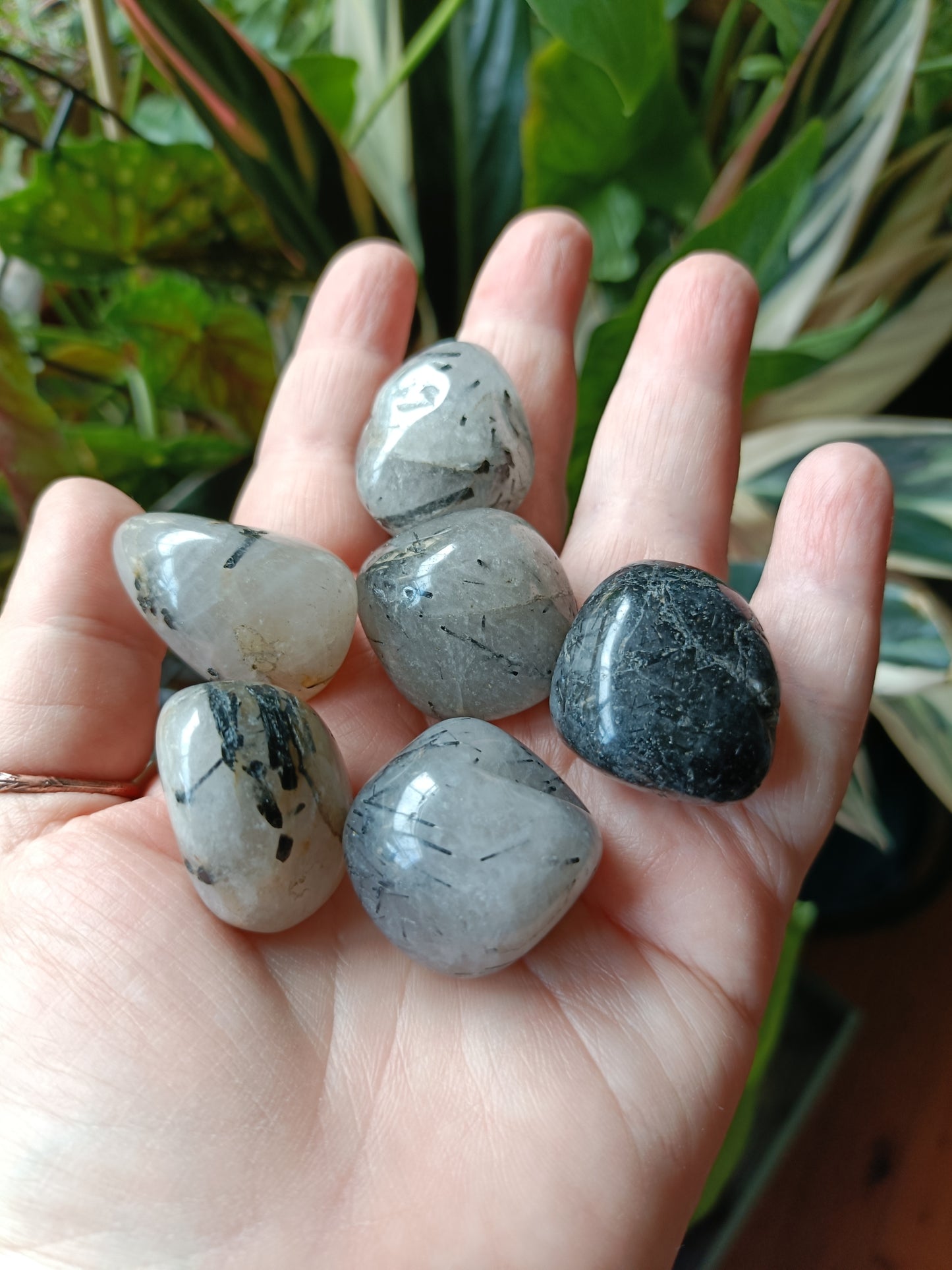 Black Tourmaline in Quartz Tumbles - 15-25g