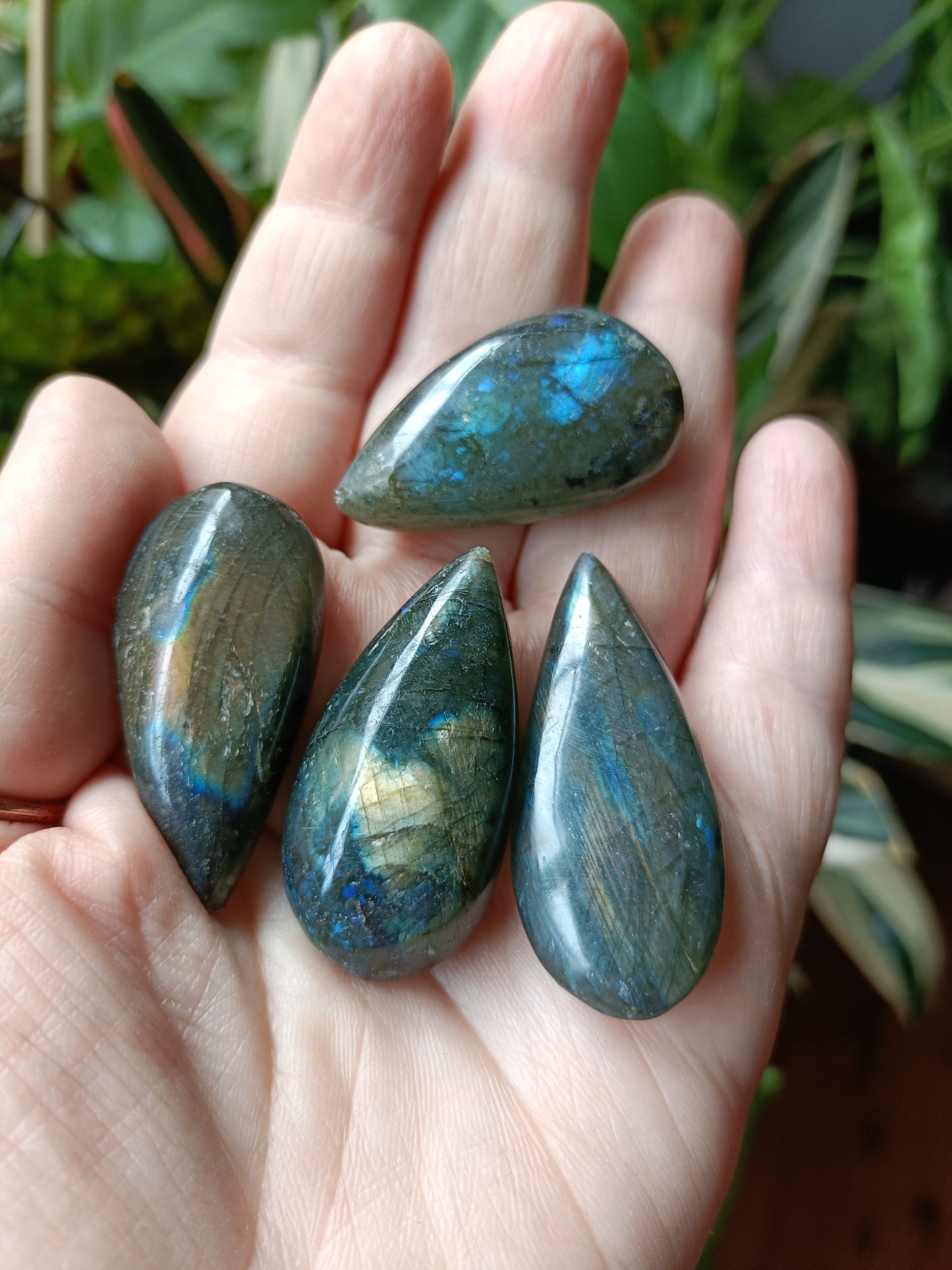 Labradorite Teardrops - 30-60g