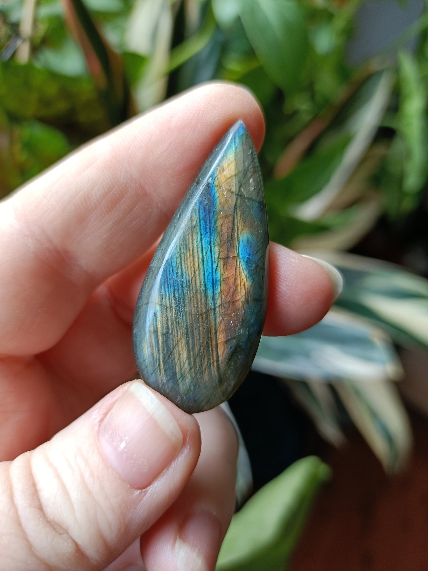 Labradorite Teardrops - 30-60g