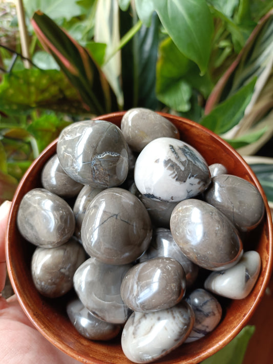 Volcanic Agate Tumbles (Clearance) - 15-25g