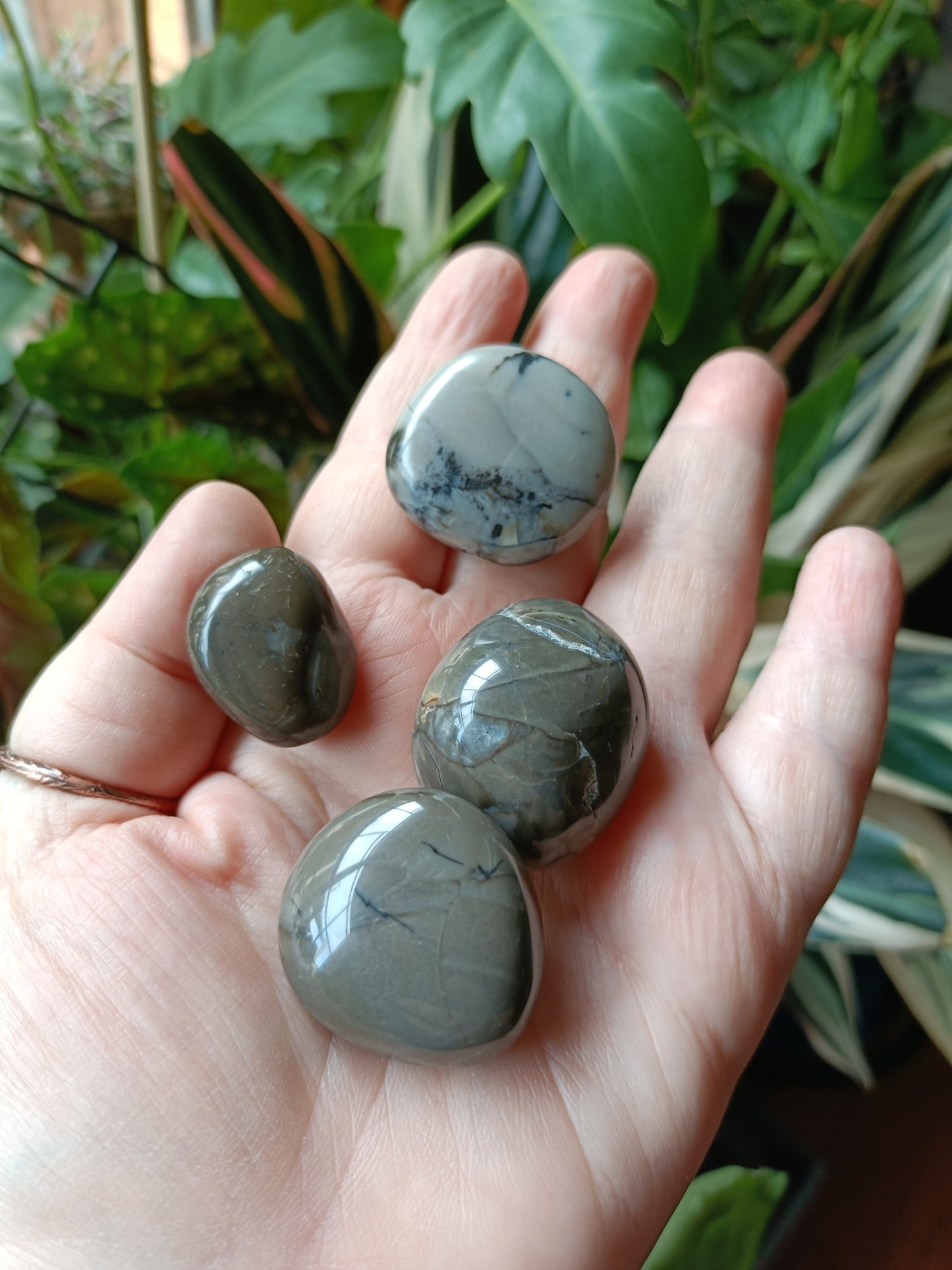 Volcanic Agate Tumbles (Clearance) - 15-25g
