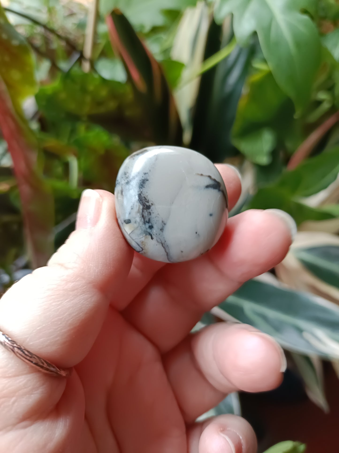 Volcanic Agate Tumbles (Clearance) - 15-25g