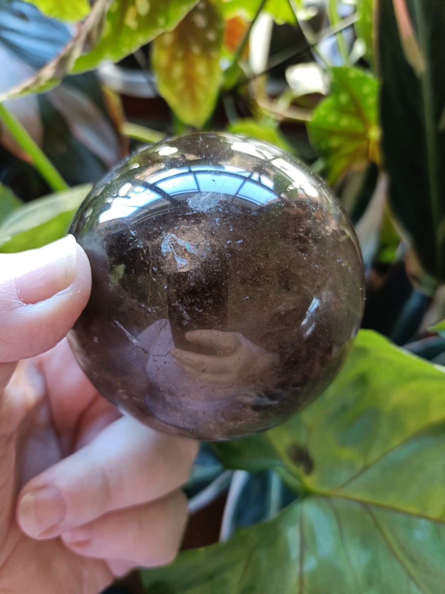 Dark Smokey Quartz Sphere - 554g