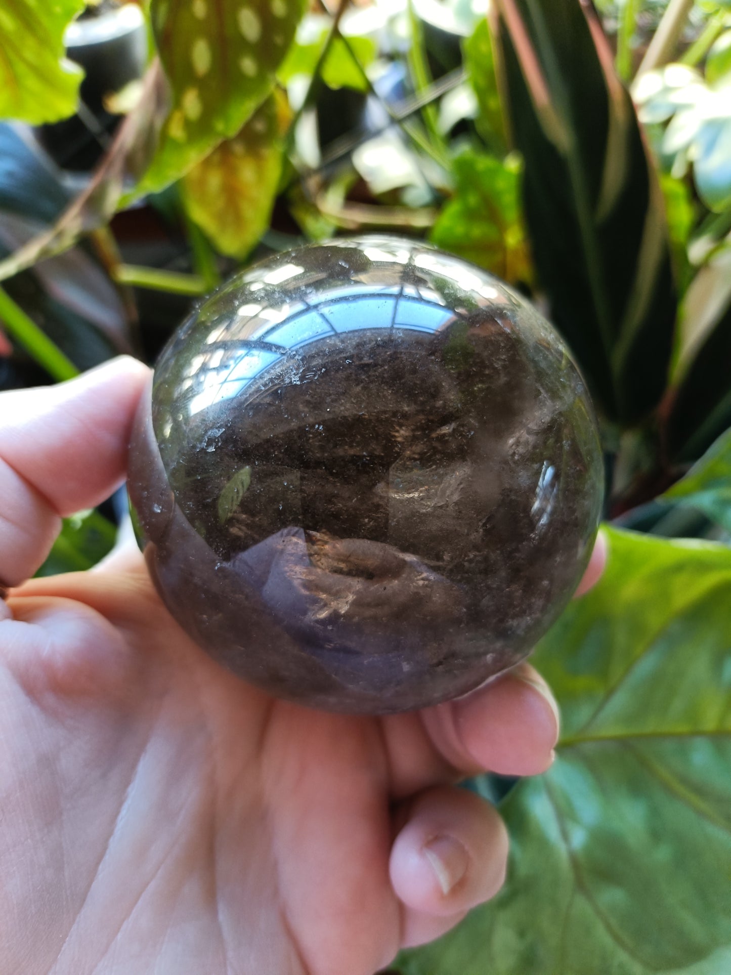 Dark Smokey Quartz Sphere - 554g