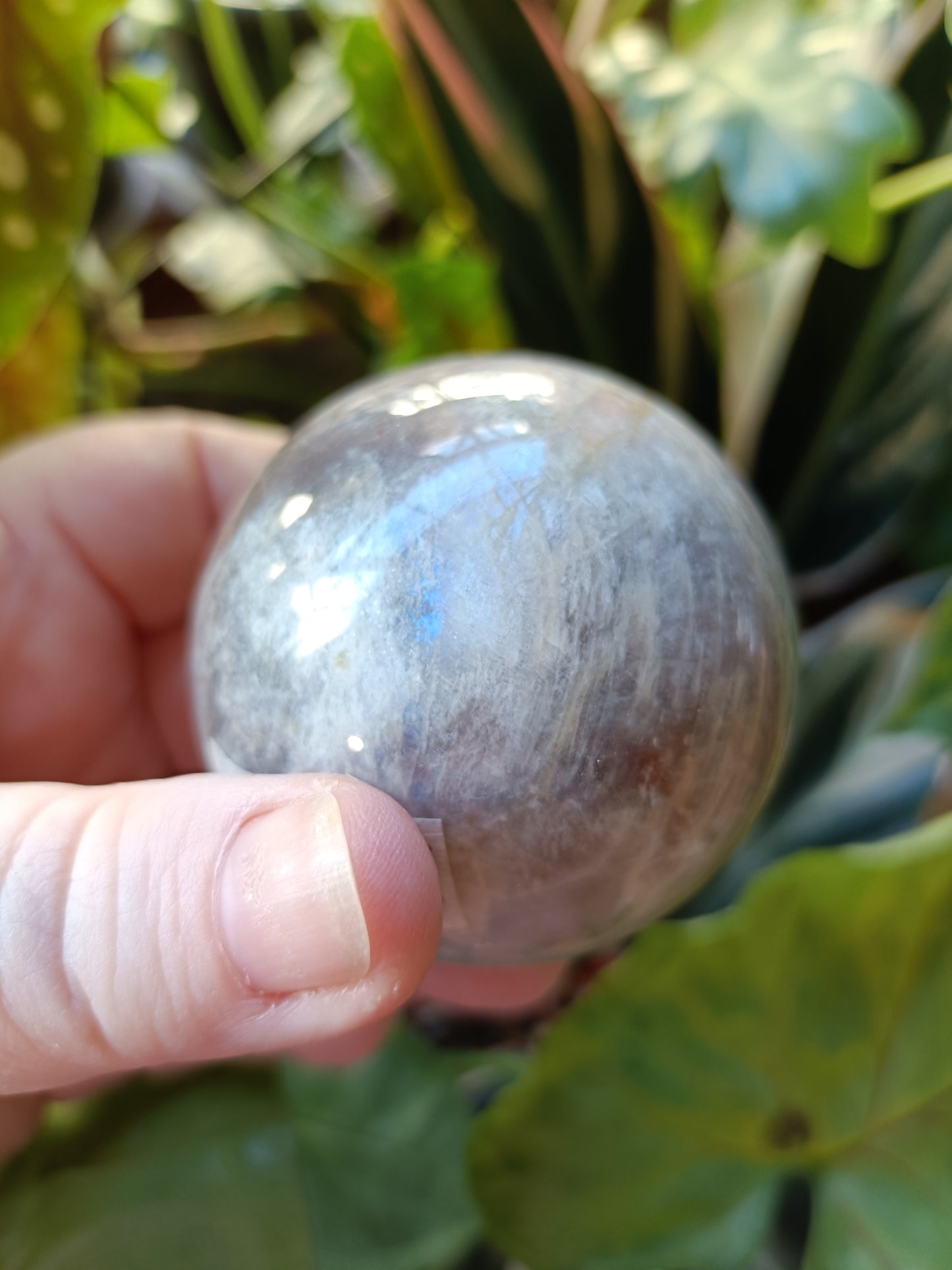 Blue Flash Moonstone Sphere - 252g