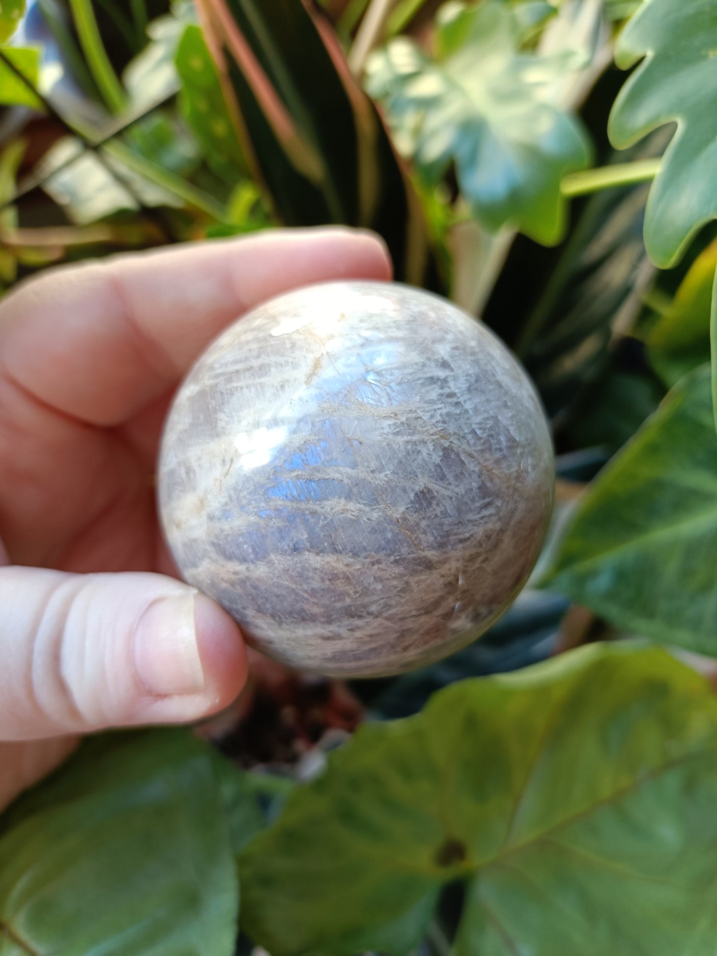 Blue Flash Moonstone Sphere - 252g