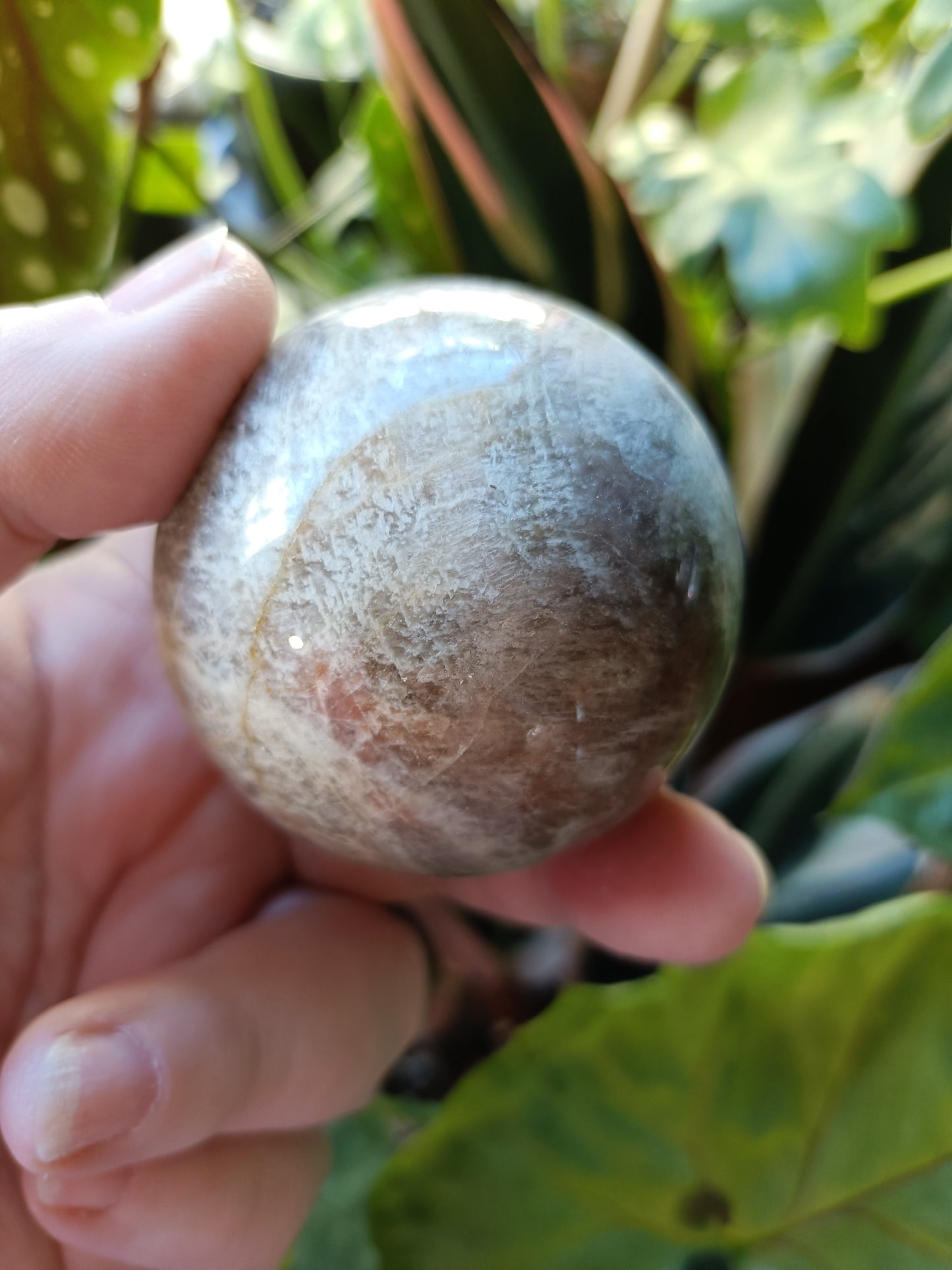 Blue Flash Moonstone Sphere - 252g