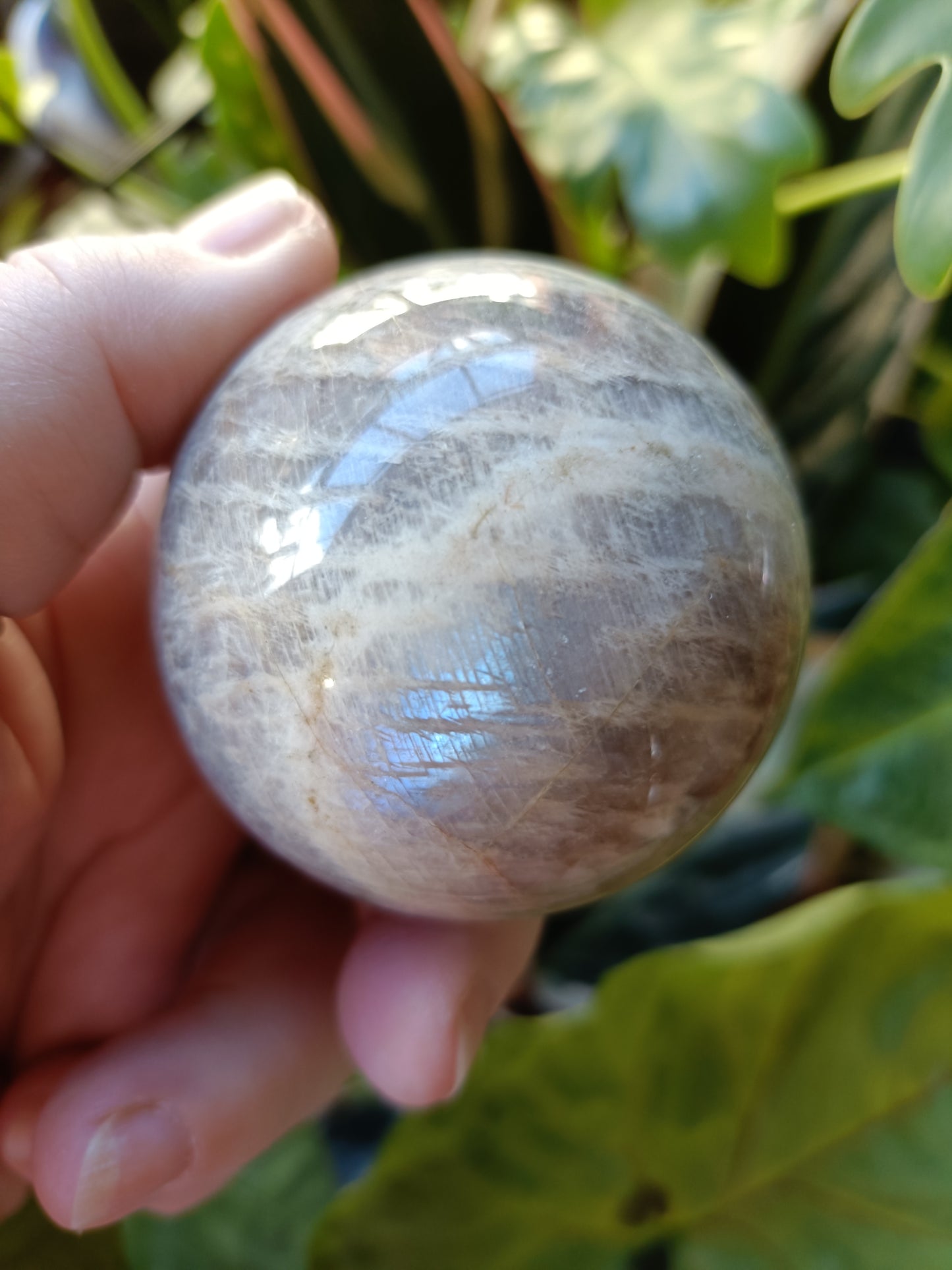 Blue Flash Moonstone Sphere - 252g