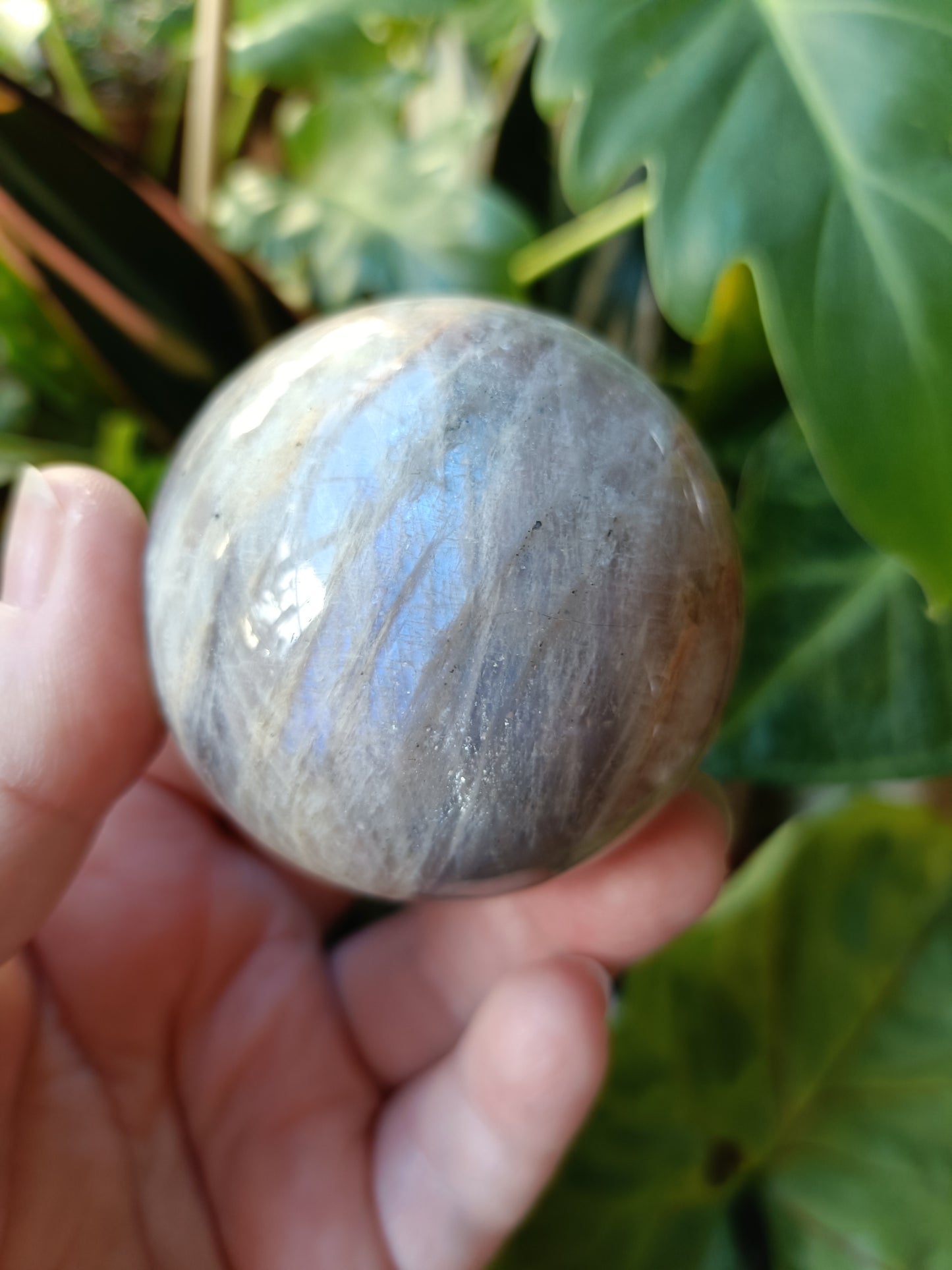 Blue Flash Moonstone Sphere - 243g