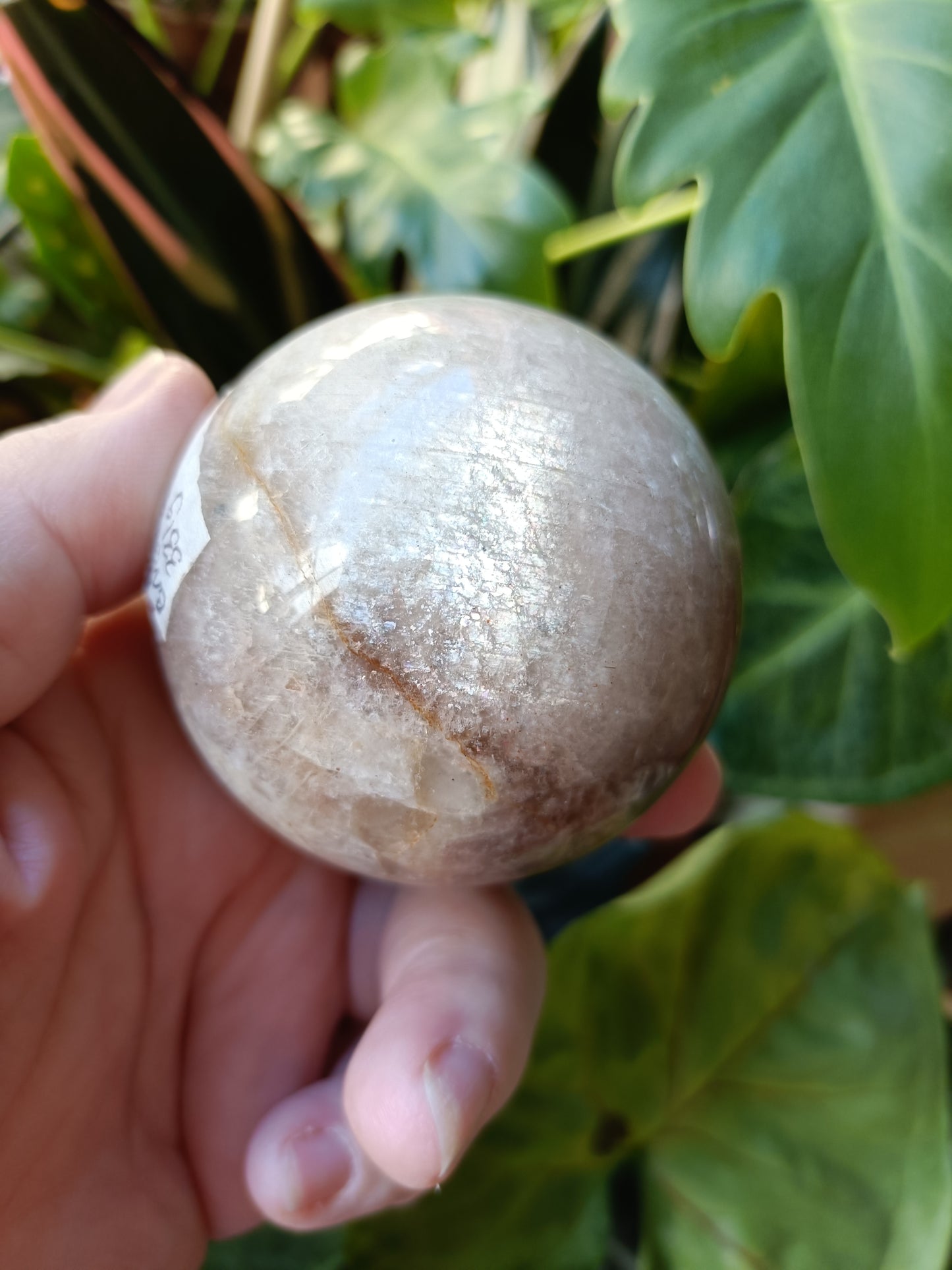 Blue Flash Moonstone Sphere - 331g