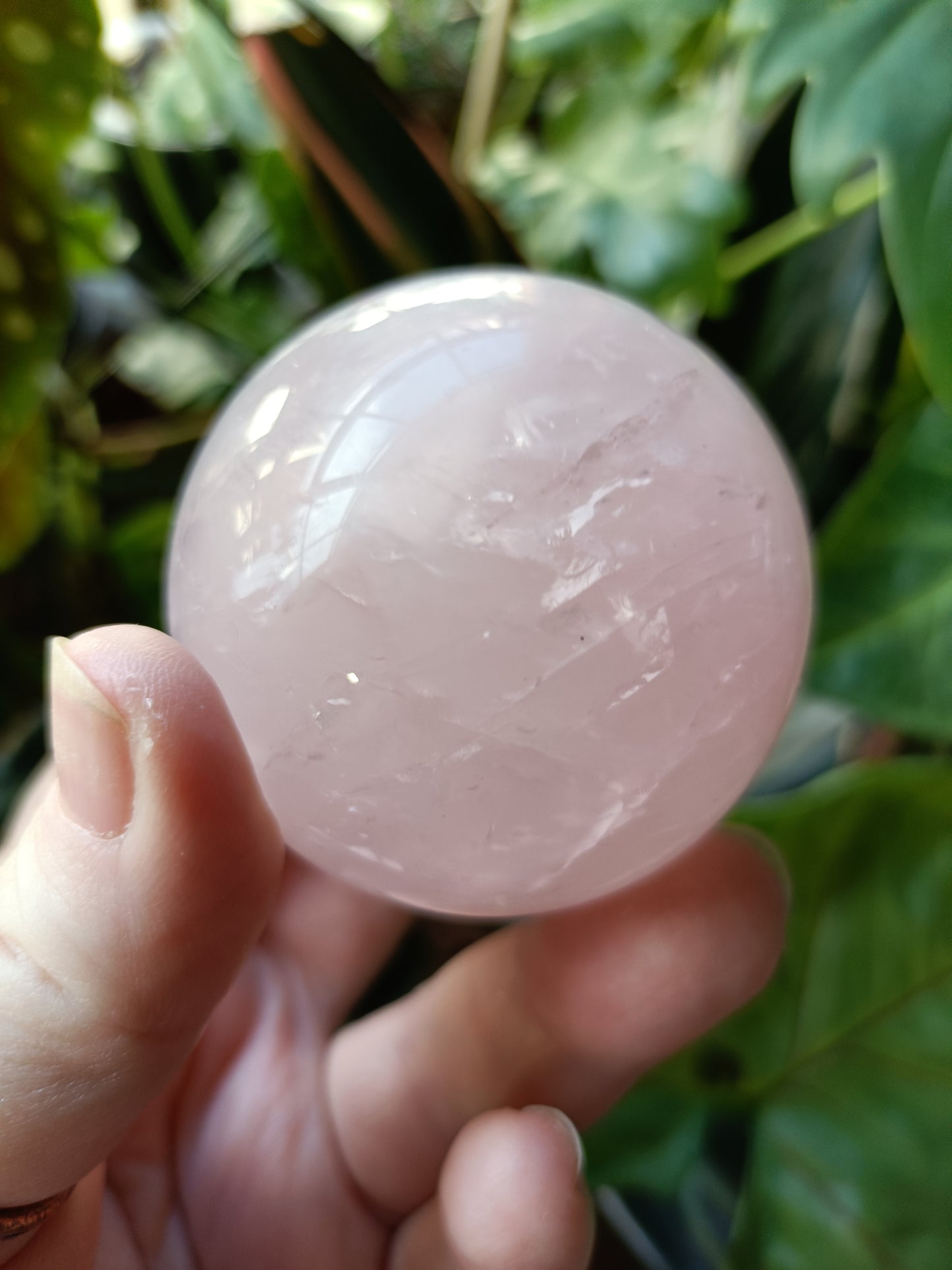 Rose Quartz Sphere - 244g