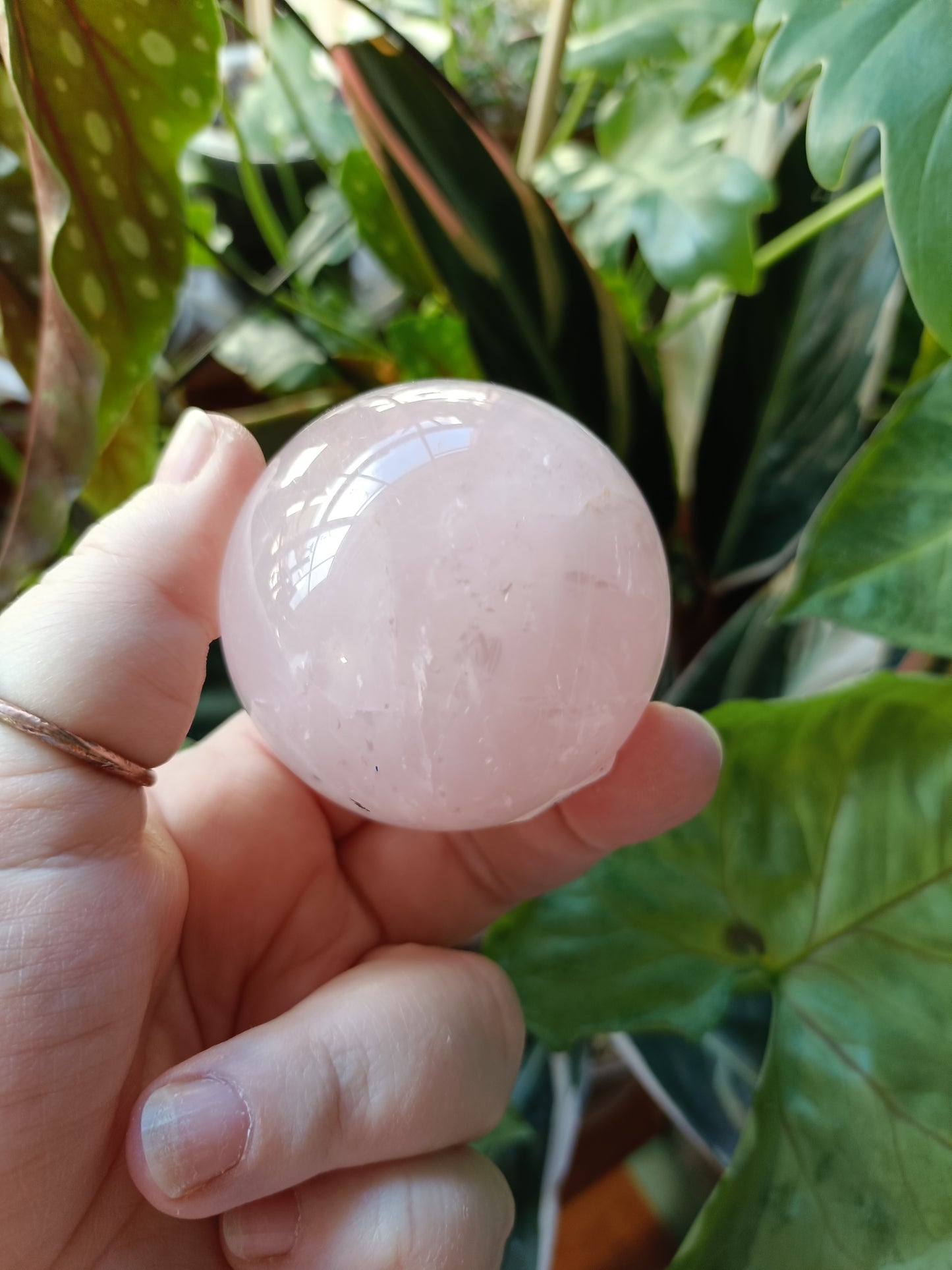 Rose Quartz Sphere - 244g