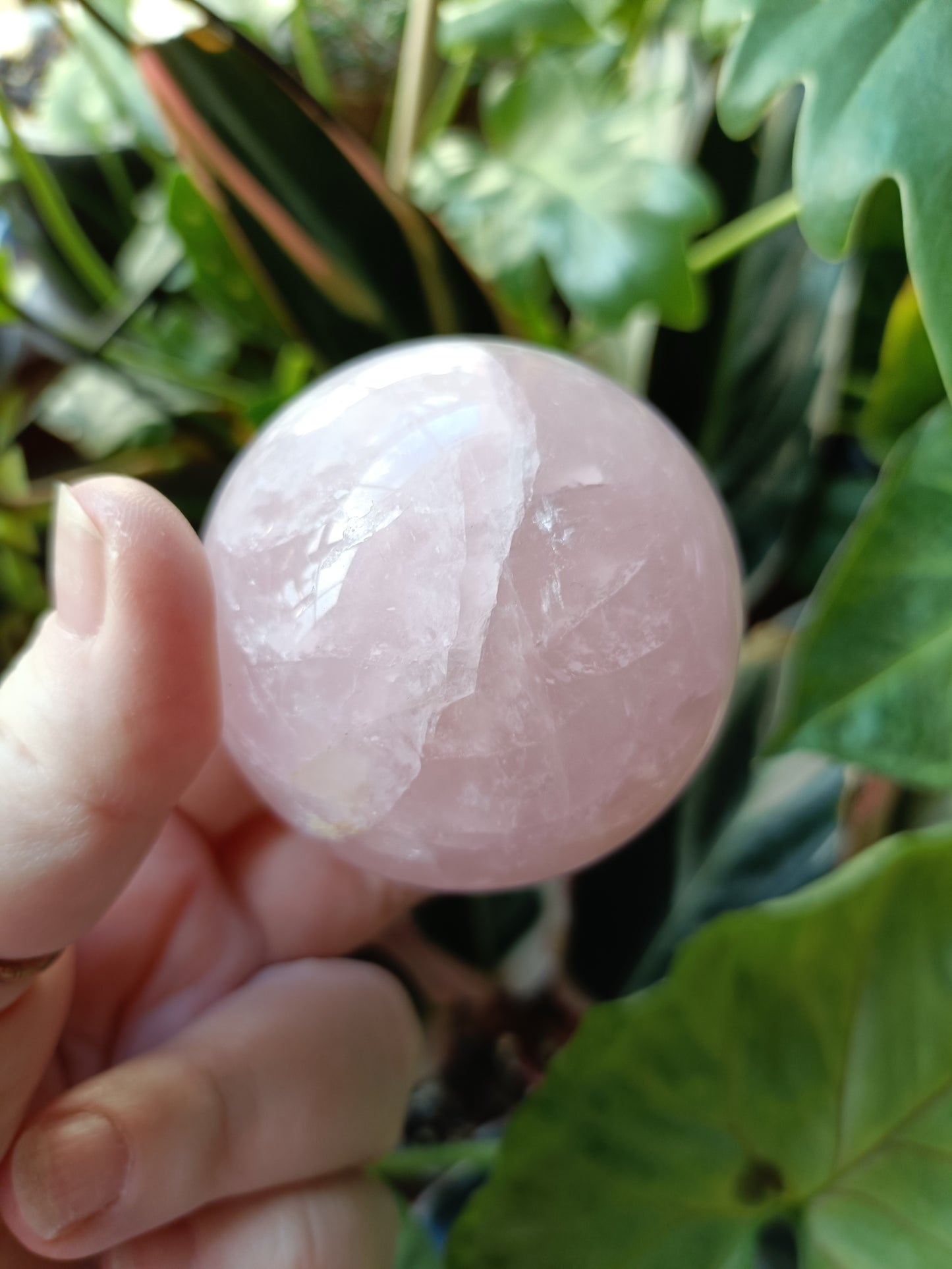 Rose Quartz Sphere - 261g