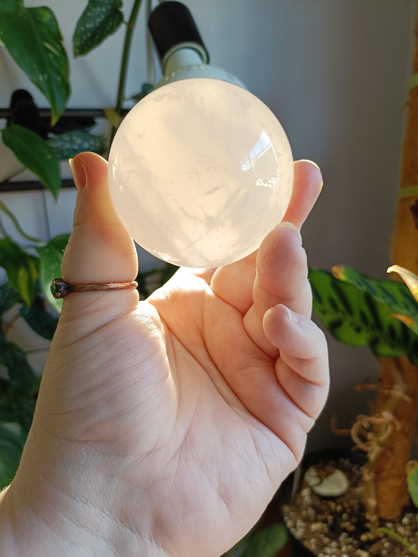 Rose Quartz Sphere - 292g