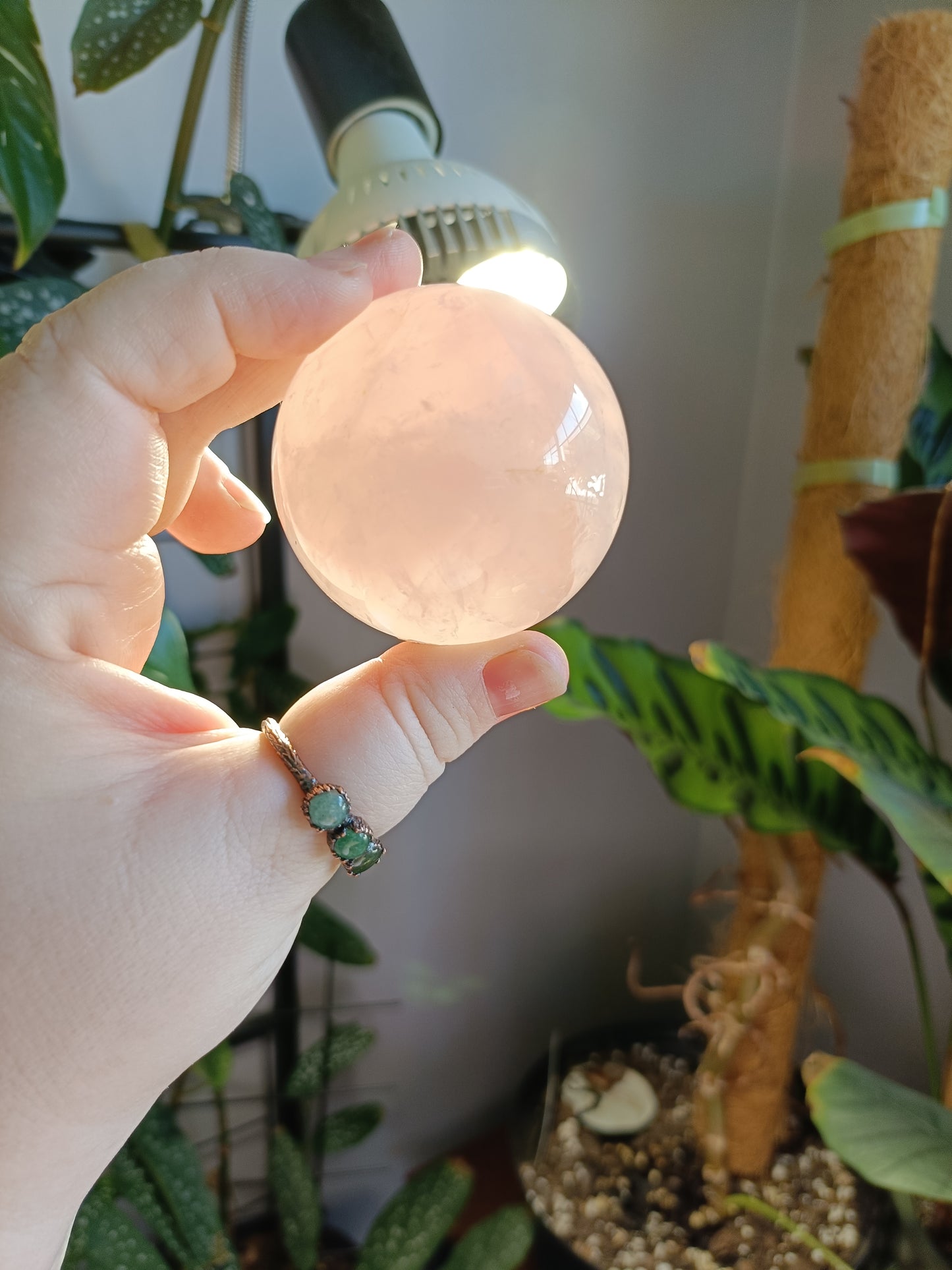 Rose Quartz Sphere - 244g