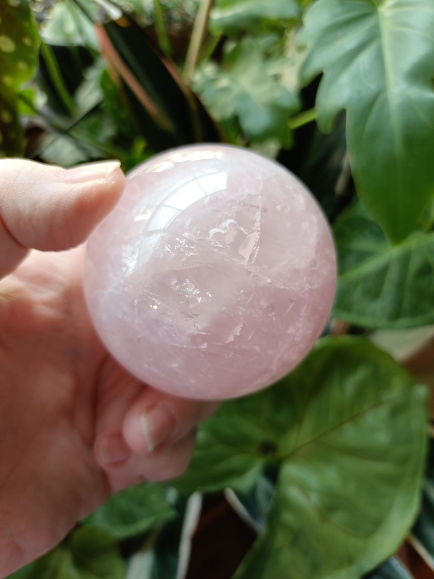 Rose Quartz Sphere - 390g