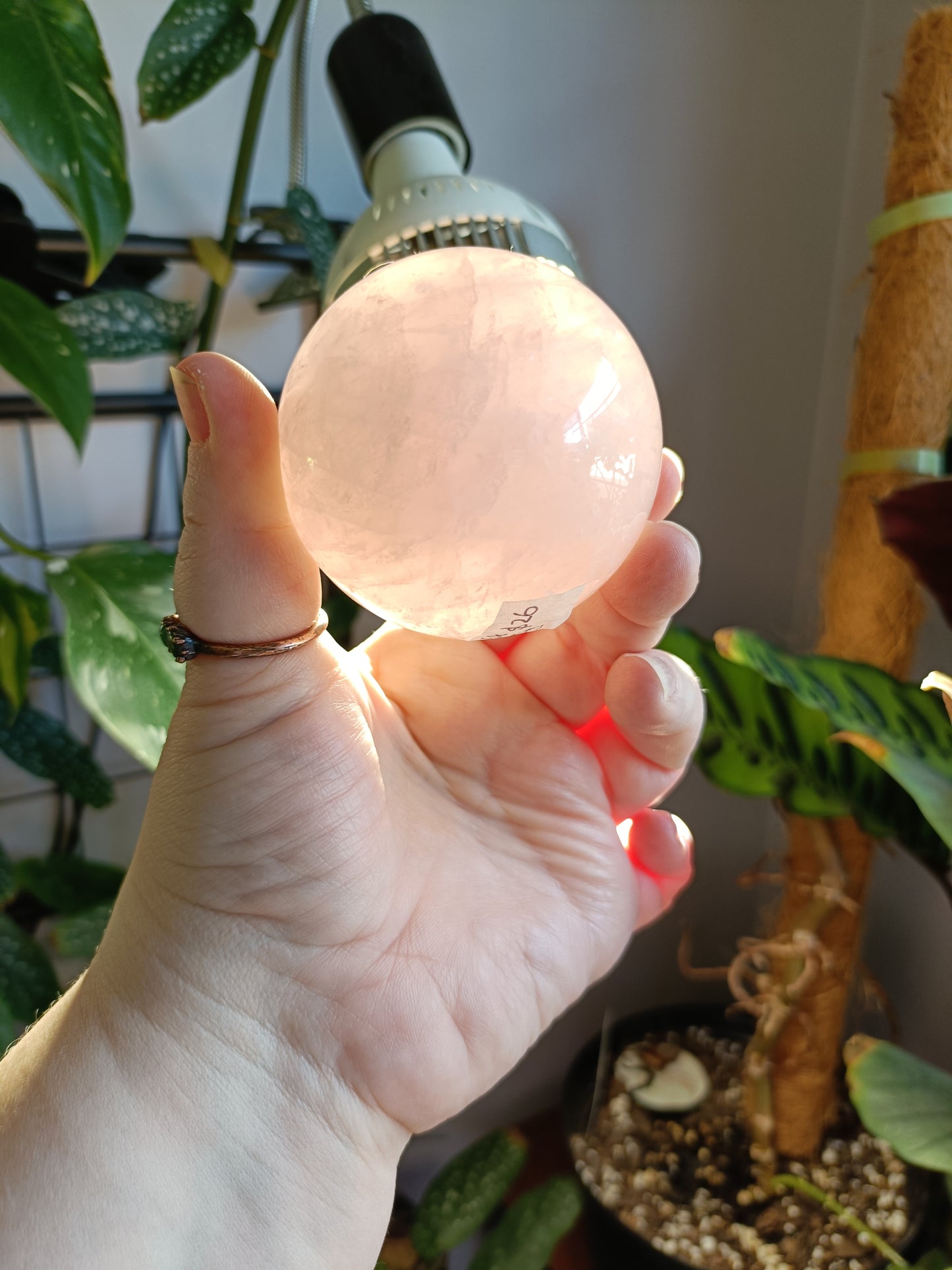 Rose Quartz Sphere - 390g