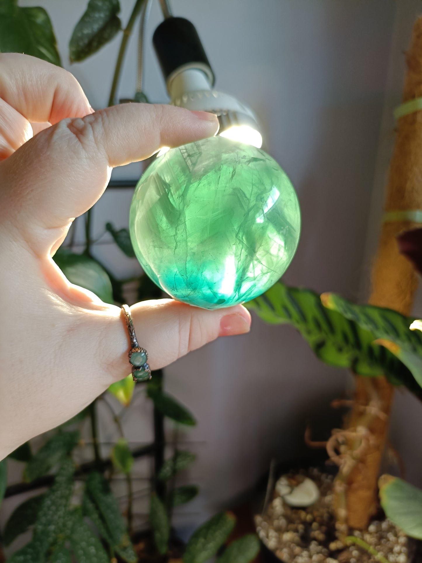 Green Fluorite Sphere - 398g