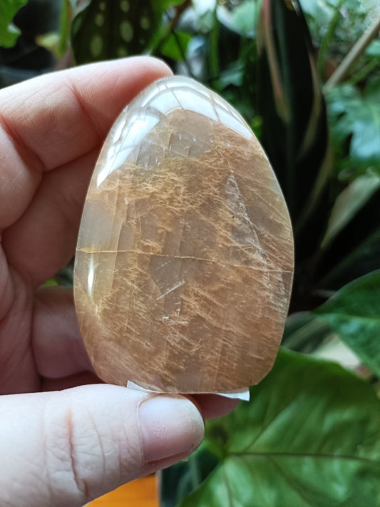 Peach Moonstone Teardrop Carvings - 84g