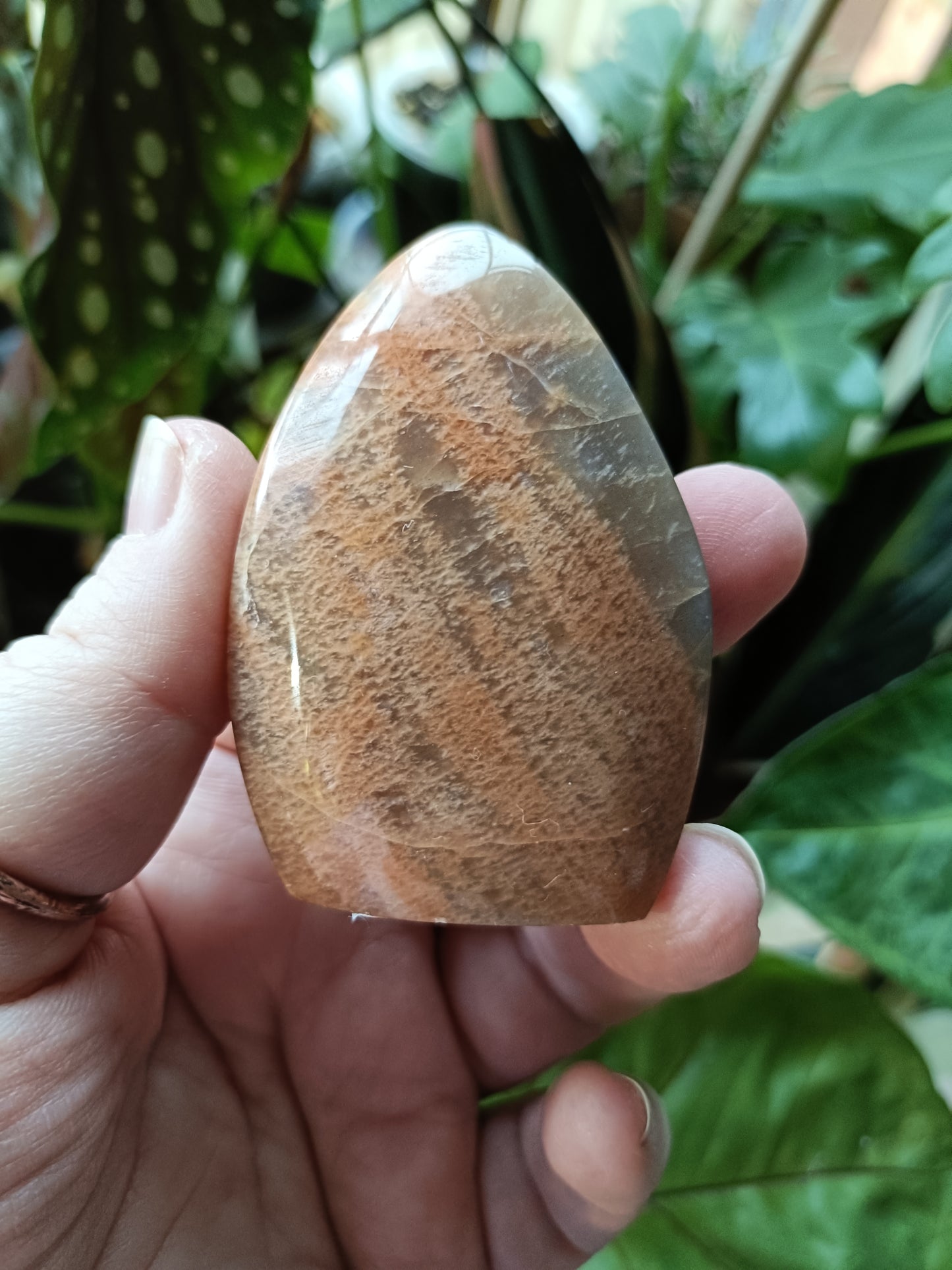 Peach Moonstone Teardrop Carvings - 95g