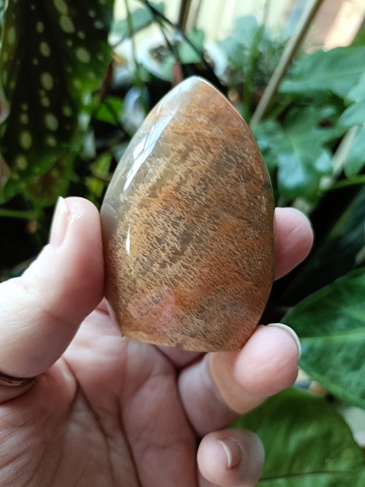 Peach Moonstone Teardrop Carvings - 95g