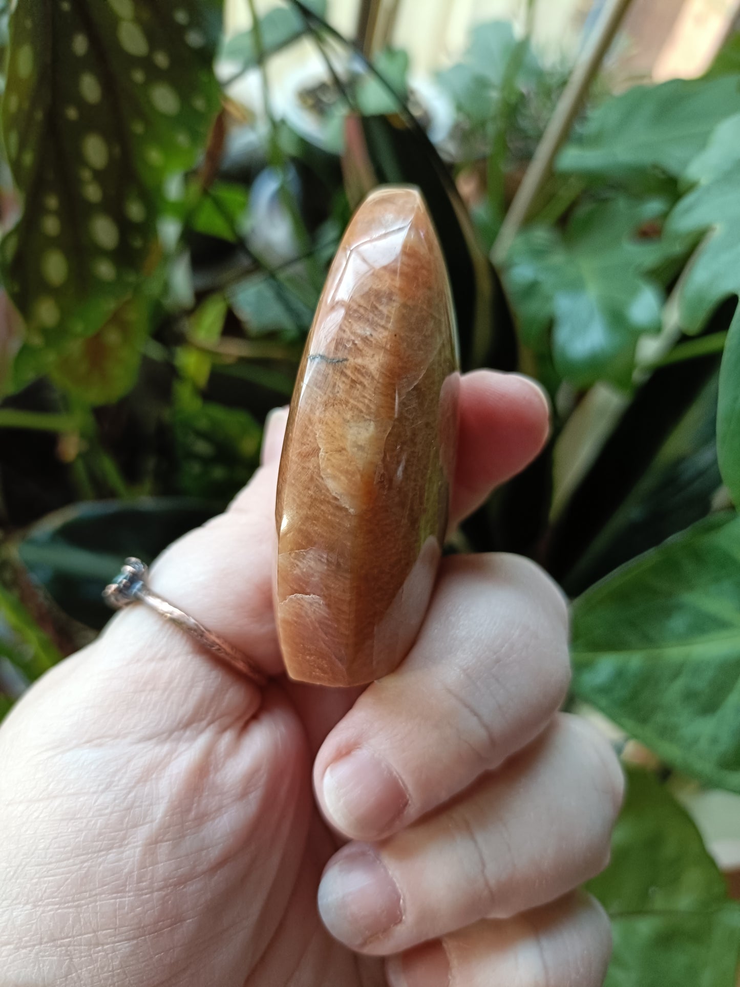 Peach Moonstone Teardrop Carvings - 95g