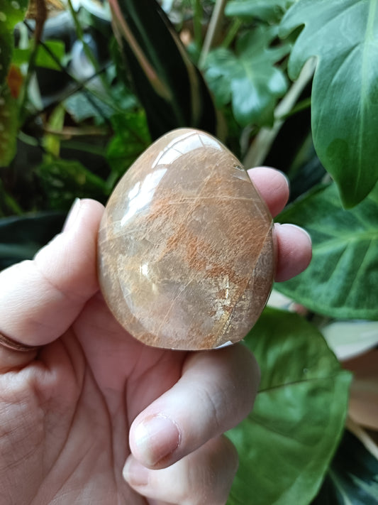 Peach Moonstone Teardrop Carvings - 105g