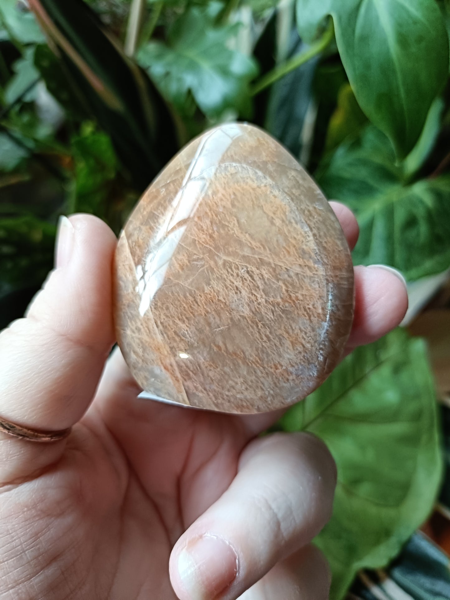 Peach Moonstone Teardrop Carvings - 105g