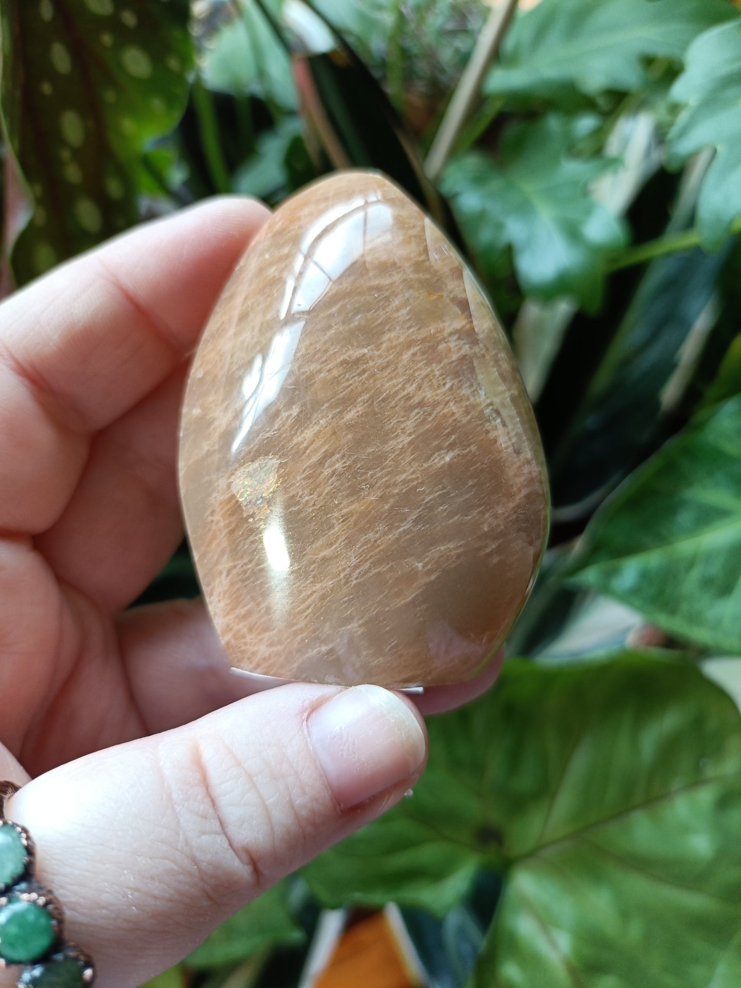 Peach Moonstone Teardrop Carvings - 114g