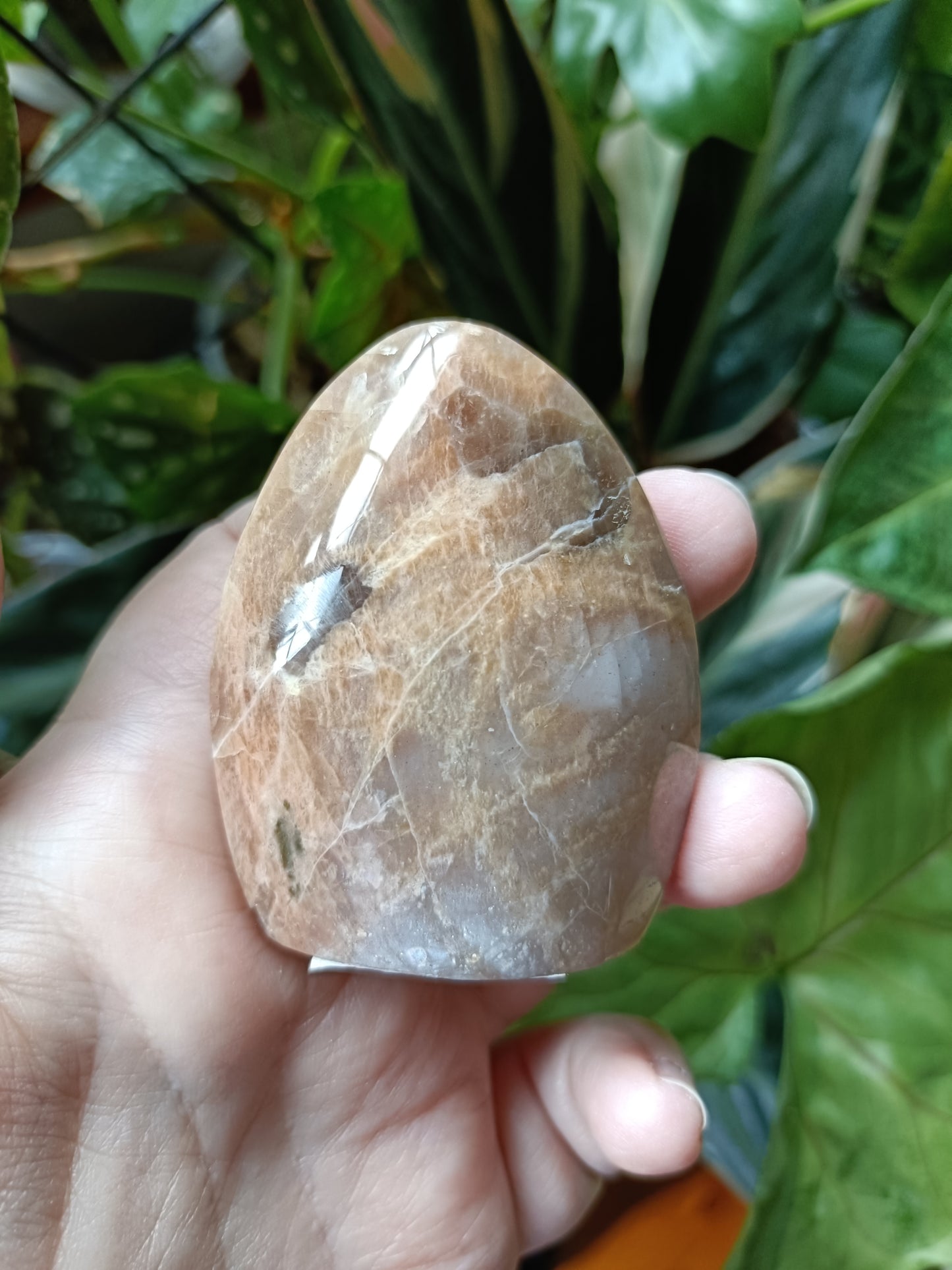 Peach Moonstone & Smokey Quartz Teardrop Carvings - 116g
