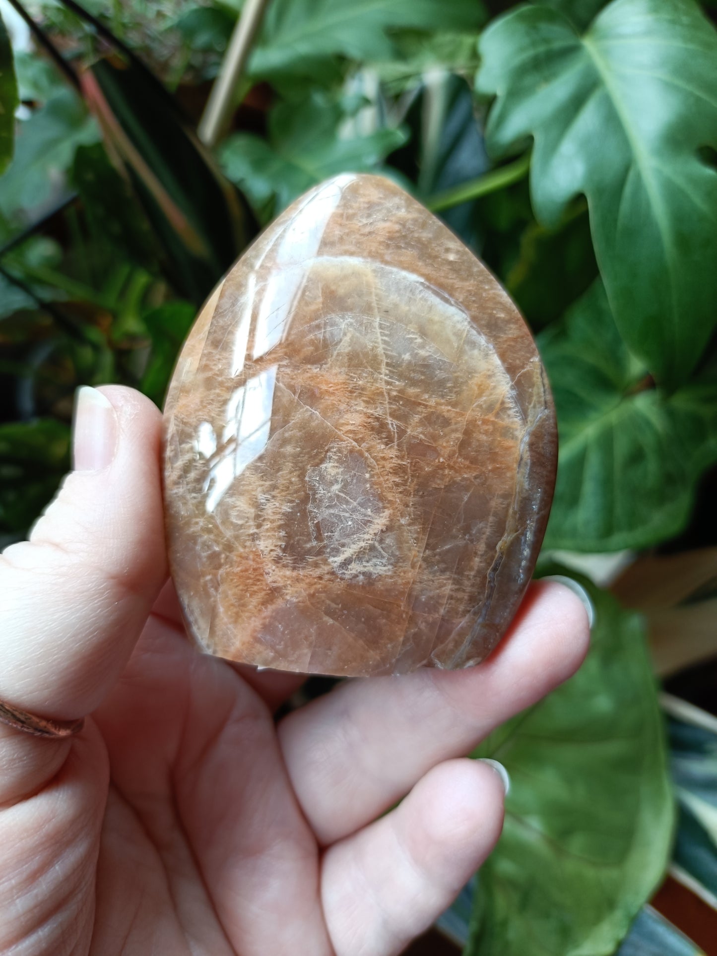 Peach Moonstone Teardrop Carvings - 142g