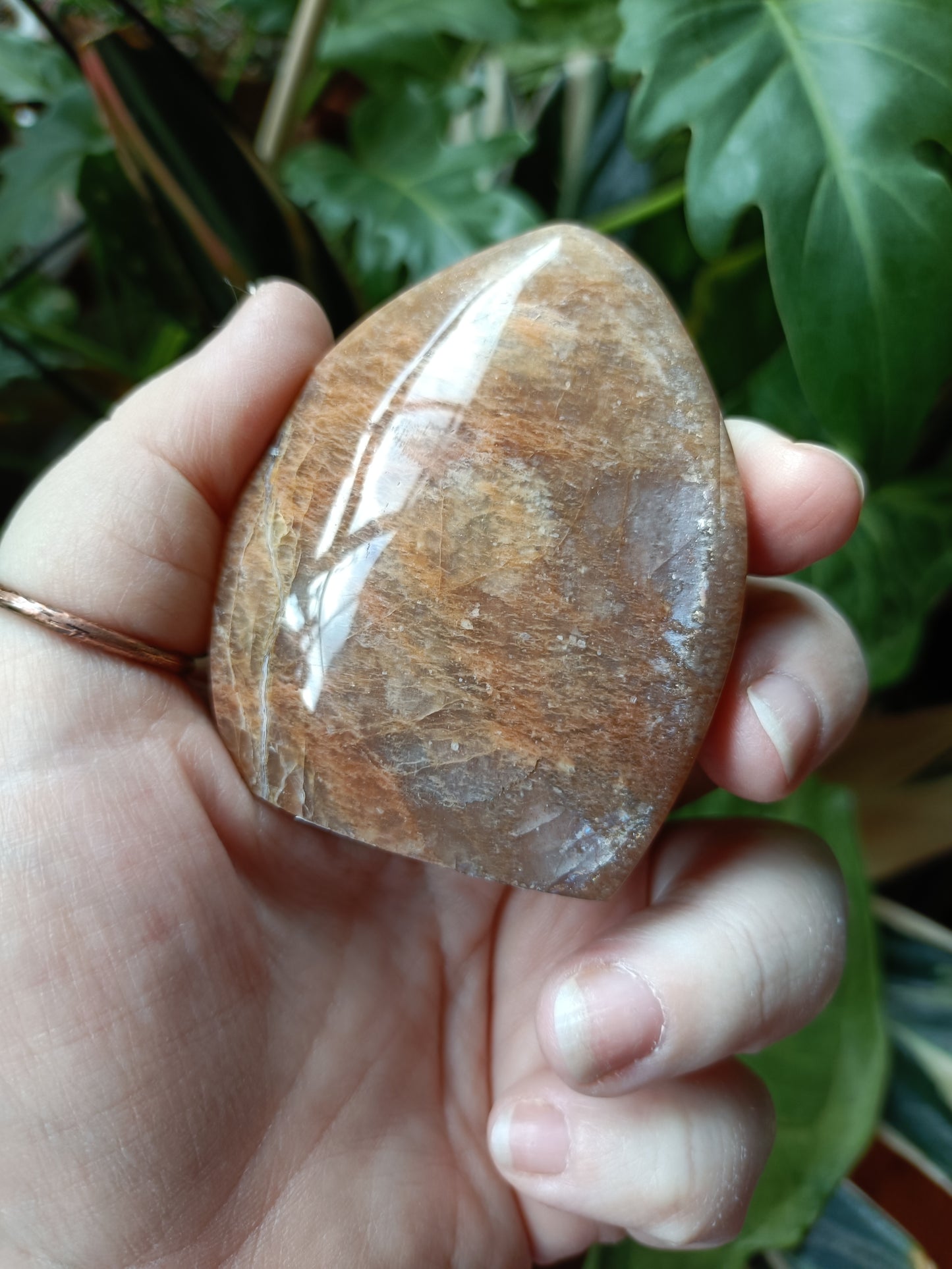 Peach Moonstone Teardrop Carvings - 142g