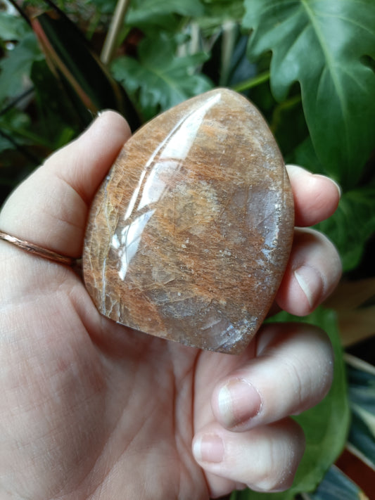 Peach Moonstone Teardrop Carvings - 142g