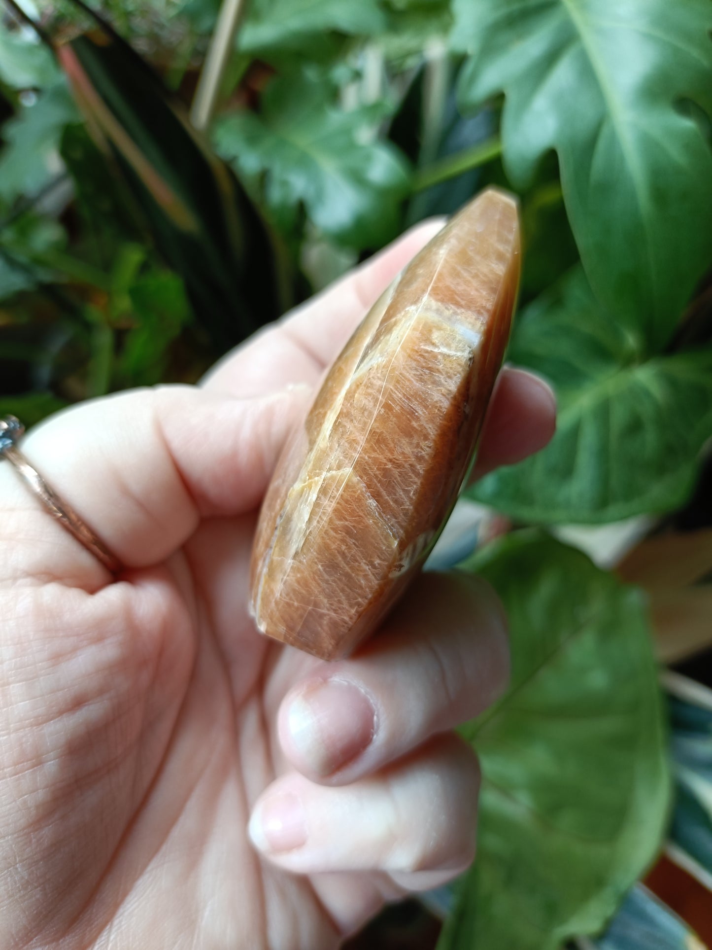 Peach Moonstone Teardrop Carvings - 142g