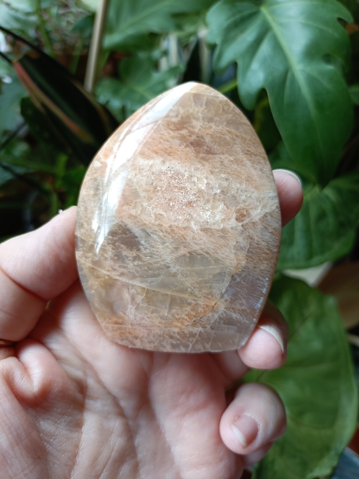 Peach Moonstone Teardrop Carvings - 130g