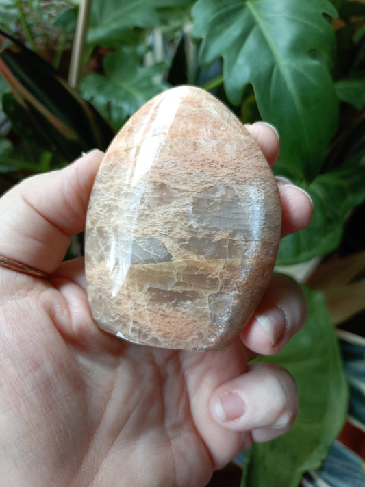 Peach Moonstone Teardrop Carvings - 130g