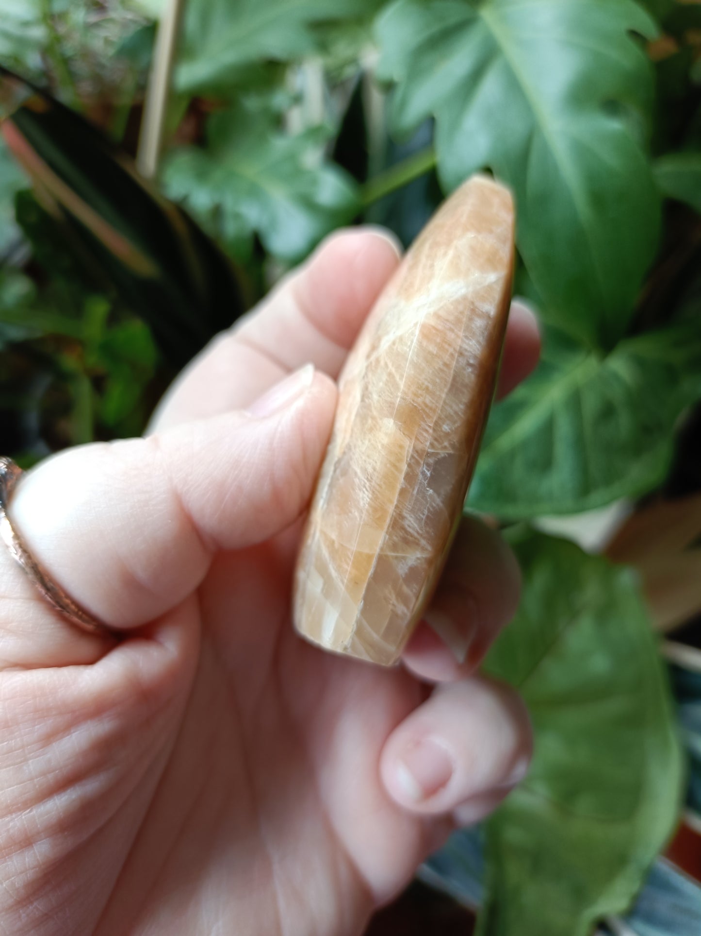 Peach Moonstone Teardrop Carvings - 130g