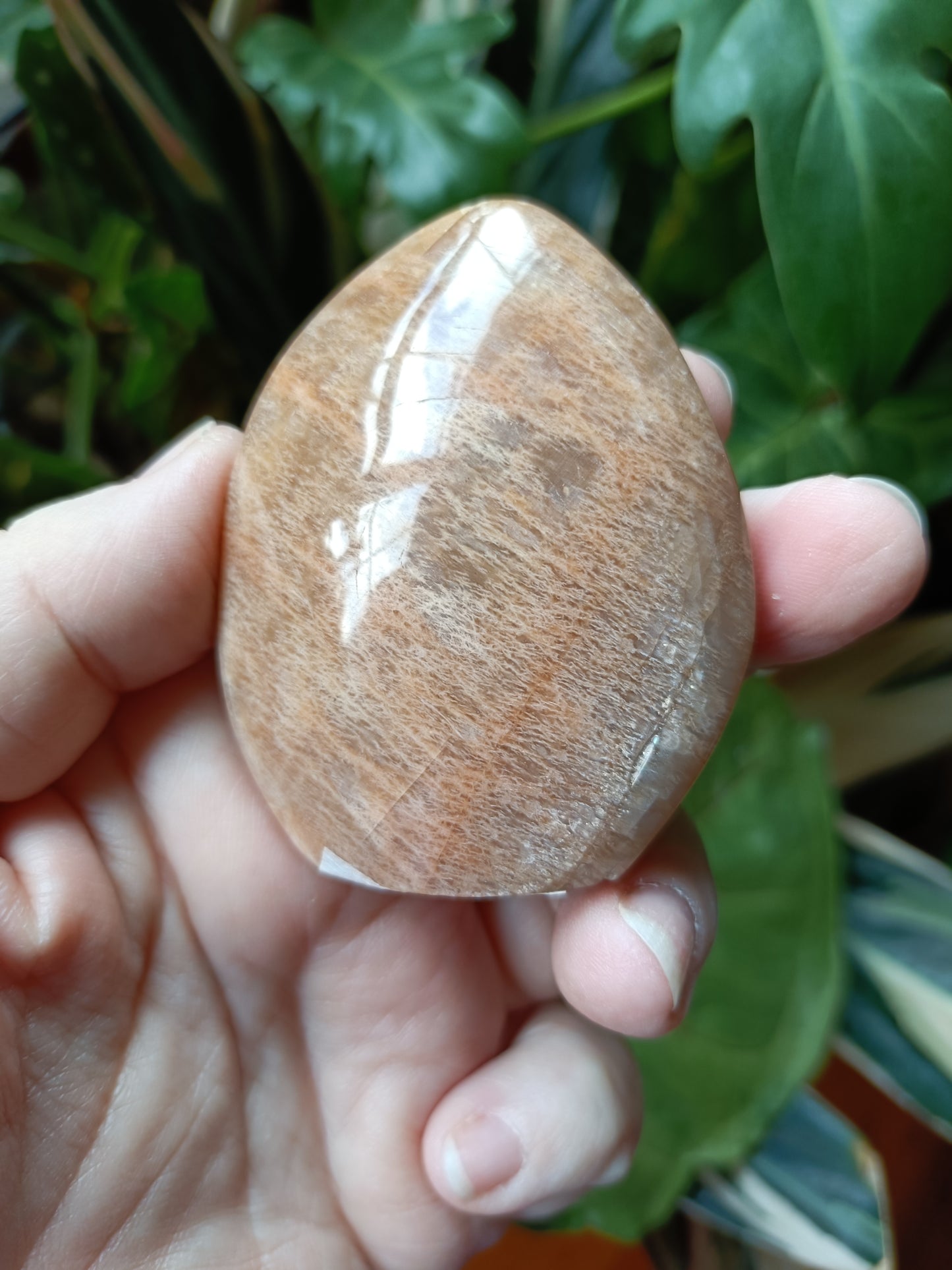 Peach Moonstone Teardrop Carvings - 128g