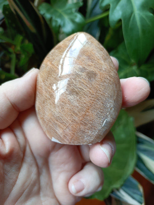 Peach Moonstone Teardrop Carvings - 128g