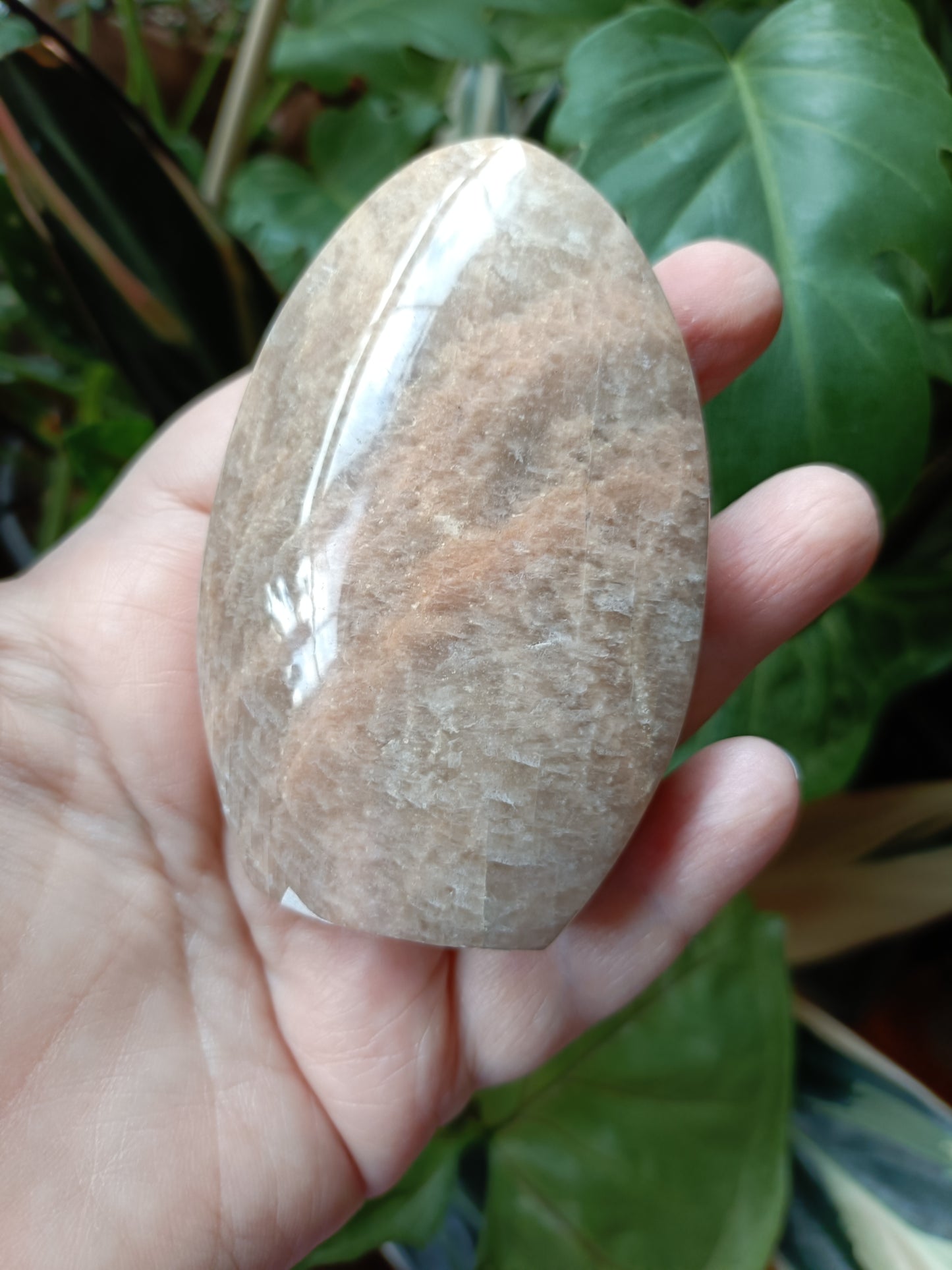 Peach Moonstone Teardrop Carvings - 194g