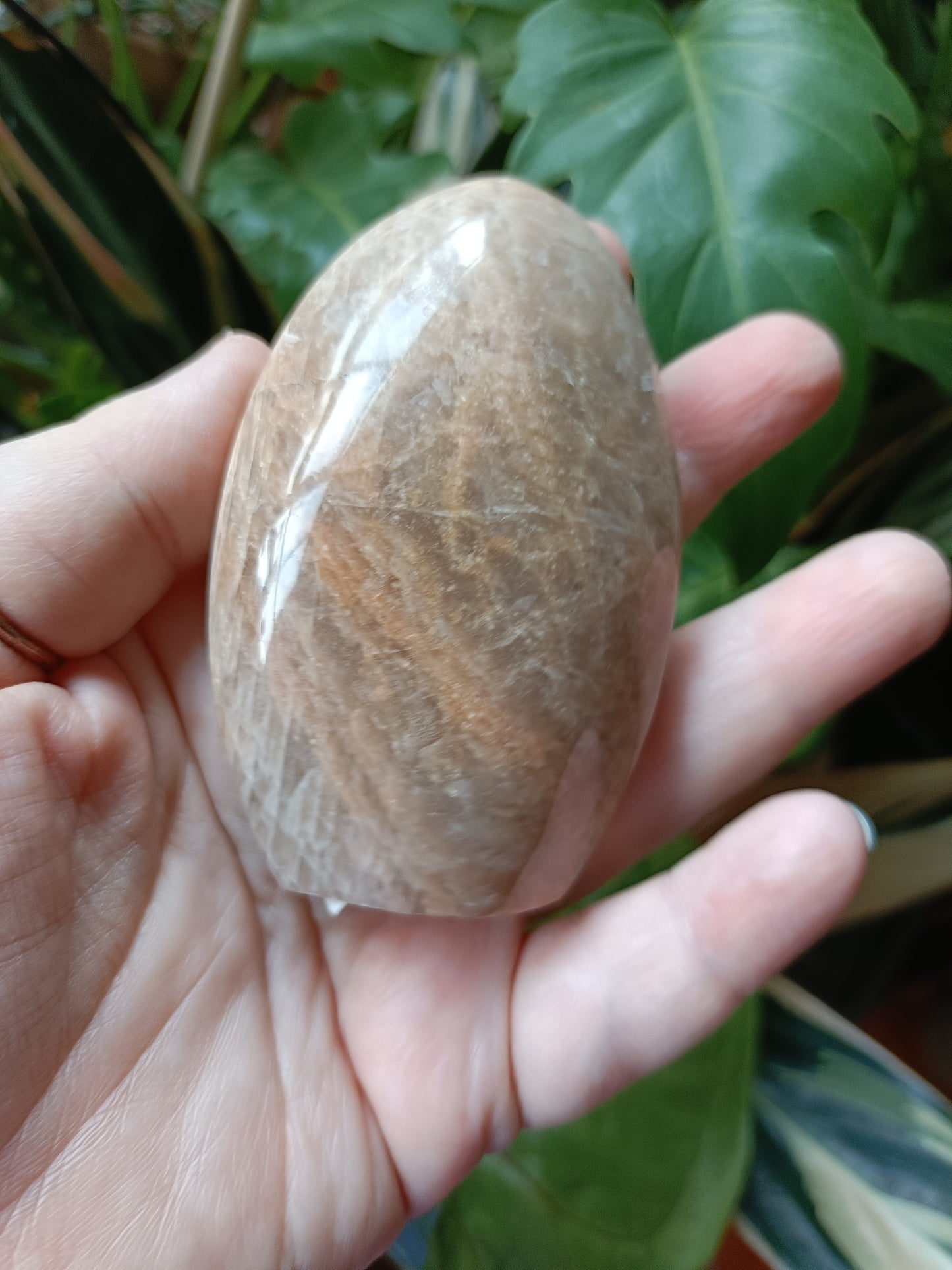 Peach Moonstone Teardrop Carvings - 194g
