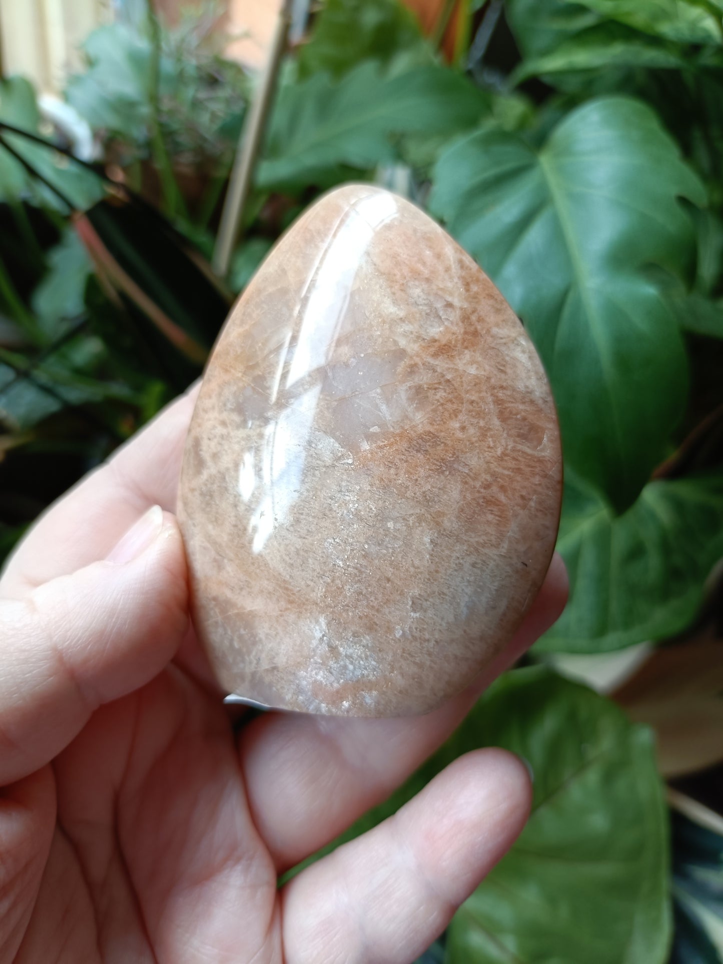 Peach Moonstone Teardrop Carvings - 171g