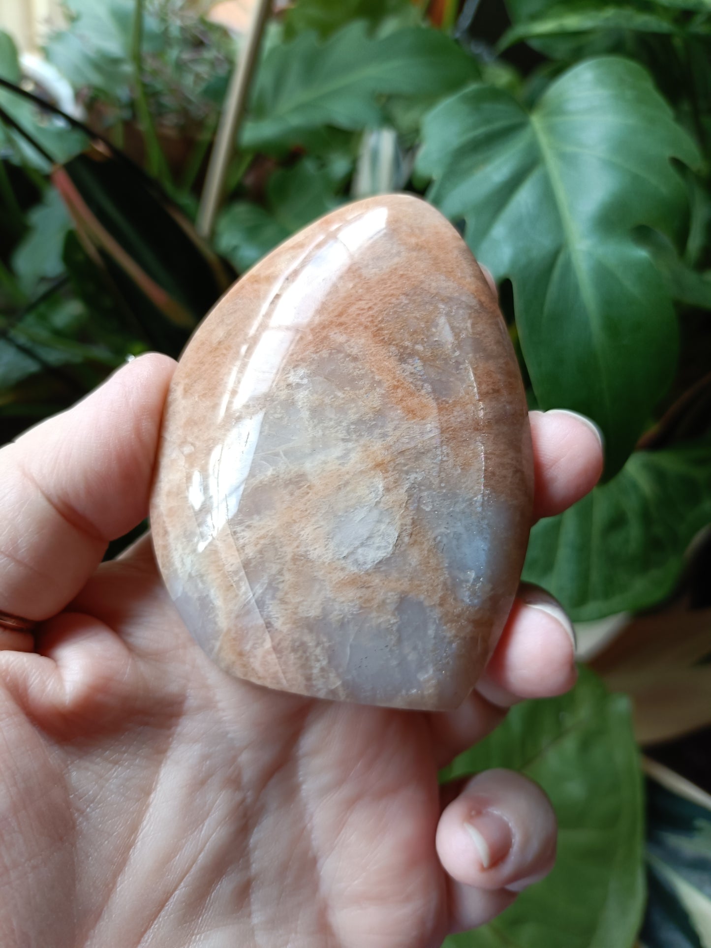 Peach Moonstone Teardrop Carvings - 171g